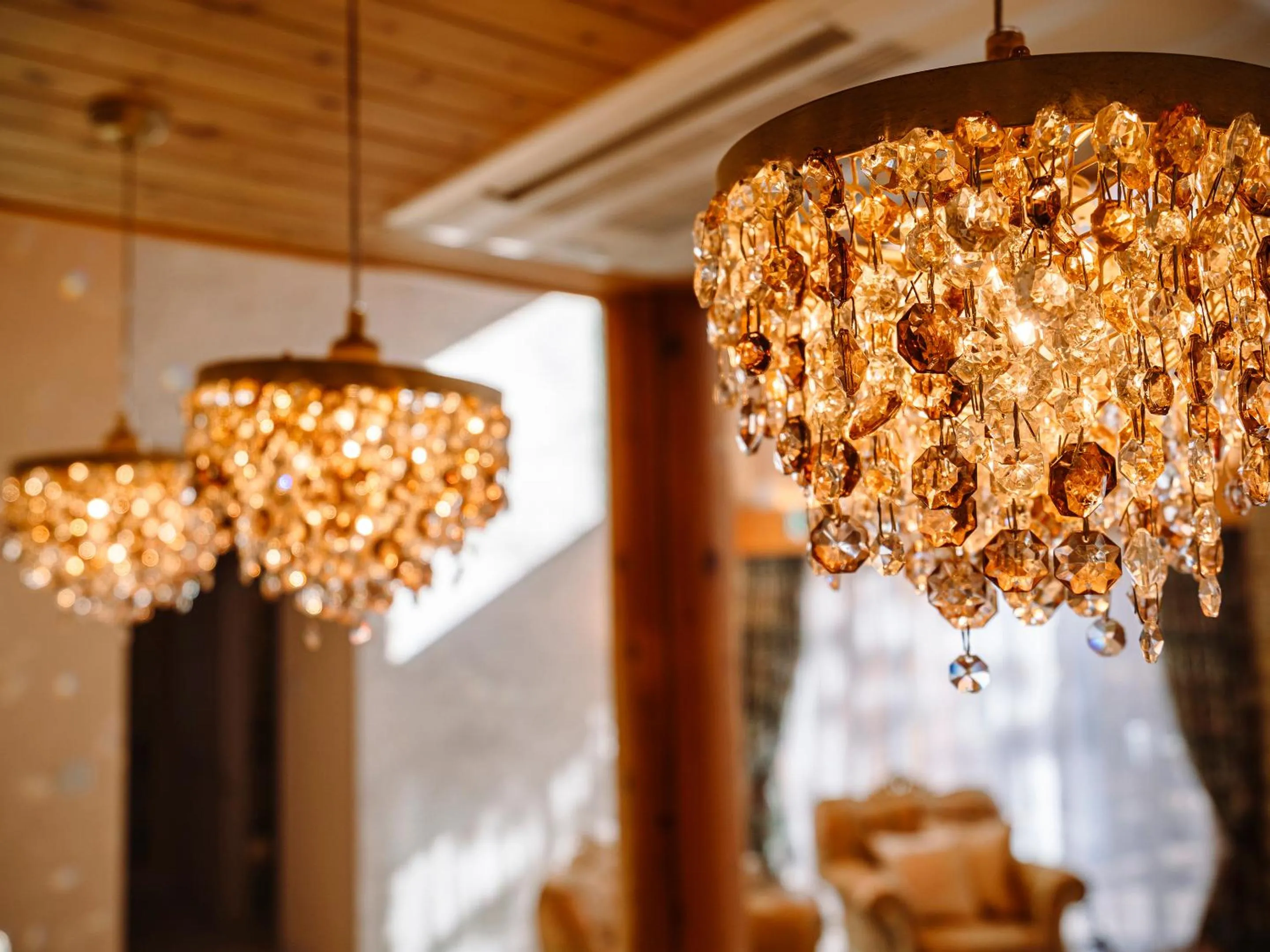 Photo of the whole room in Tokachi Nakasatsunai Glamping Resort Feriendorf