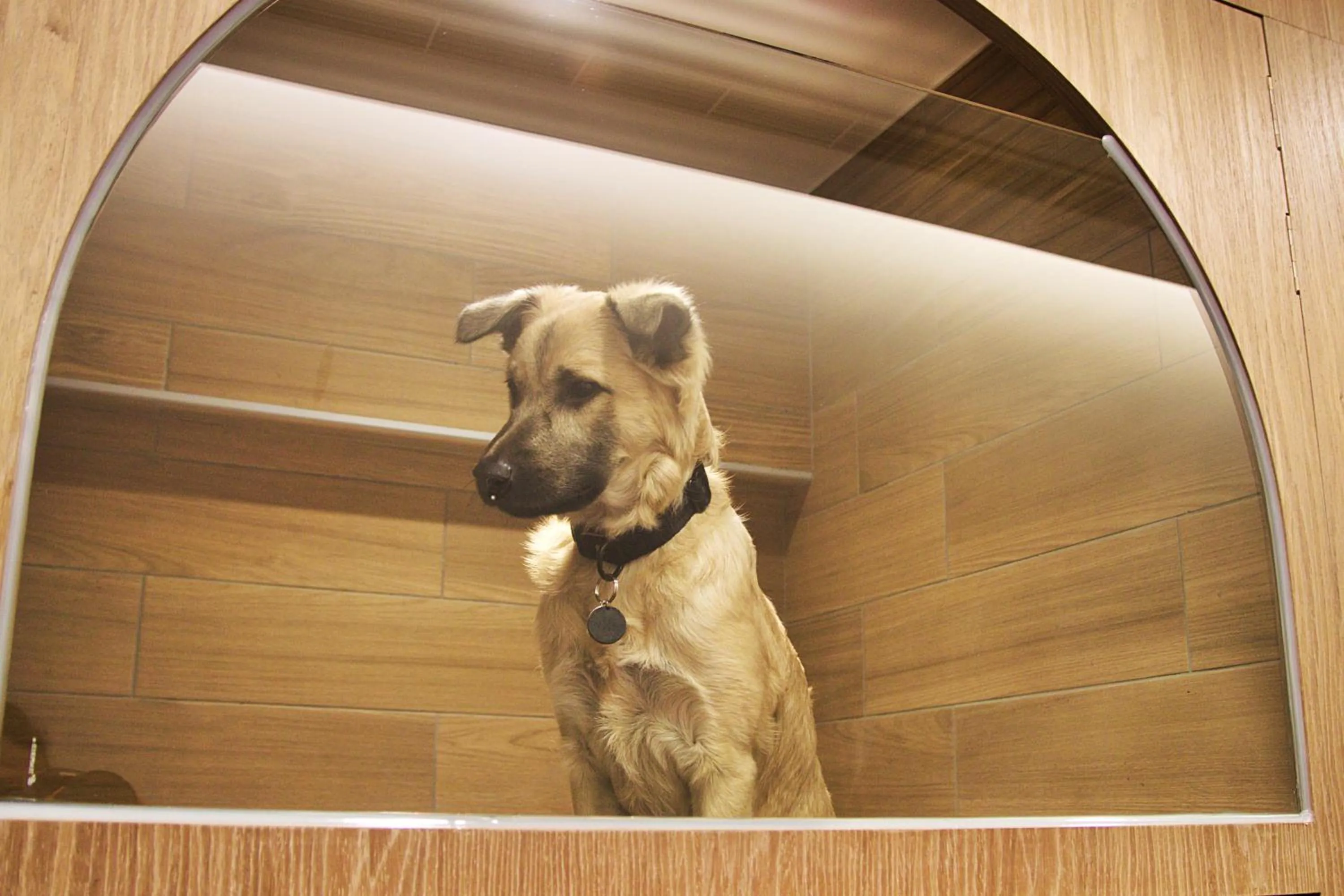 Pets in Lakeshore Hotel Hualien