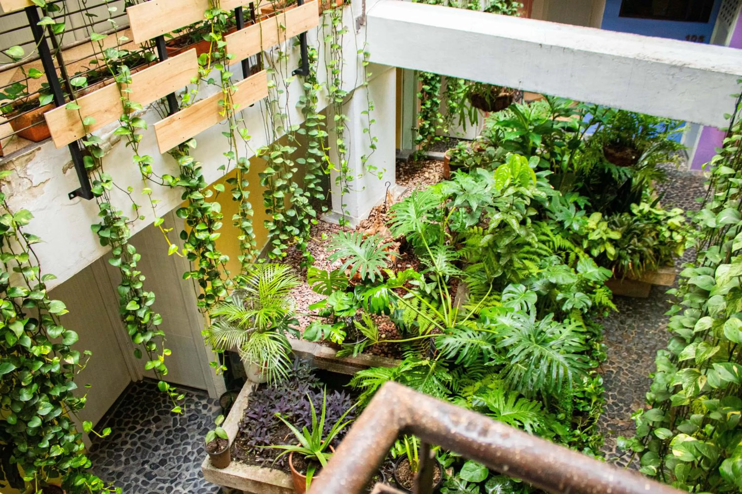 Garden in Hotel Natural Medellin