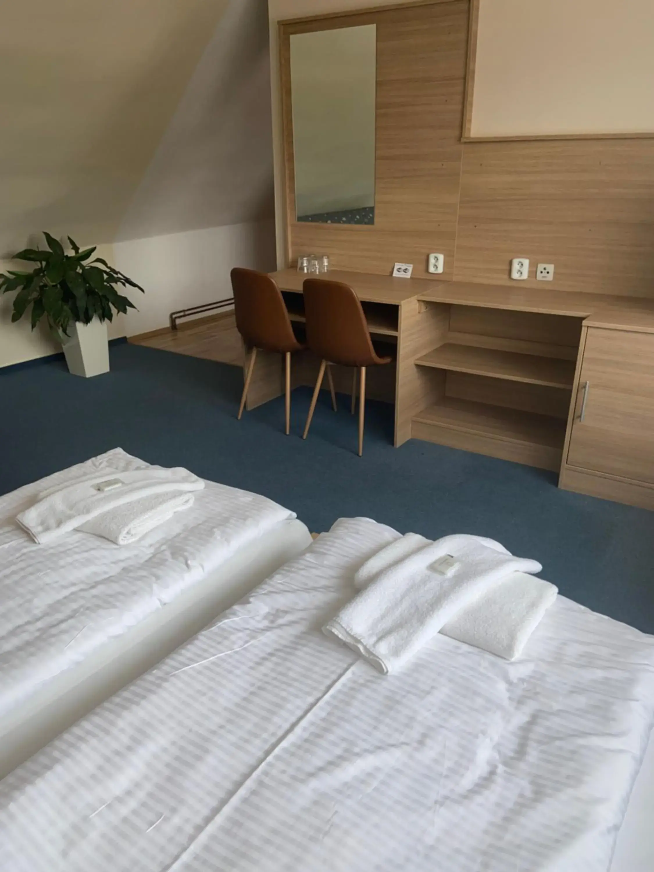 Family Room with Private Bathroom in Hotel U Císaře Family Room with Private Bathroom in Hotel U Císaře