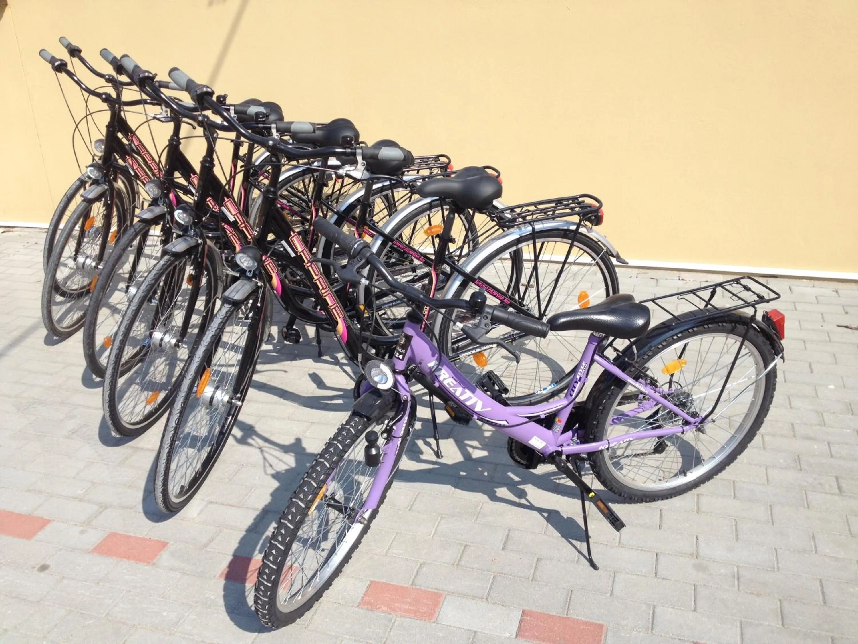 Natural landscape in Grand Hotel Glorius Makó