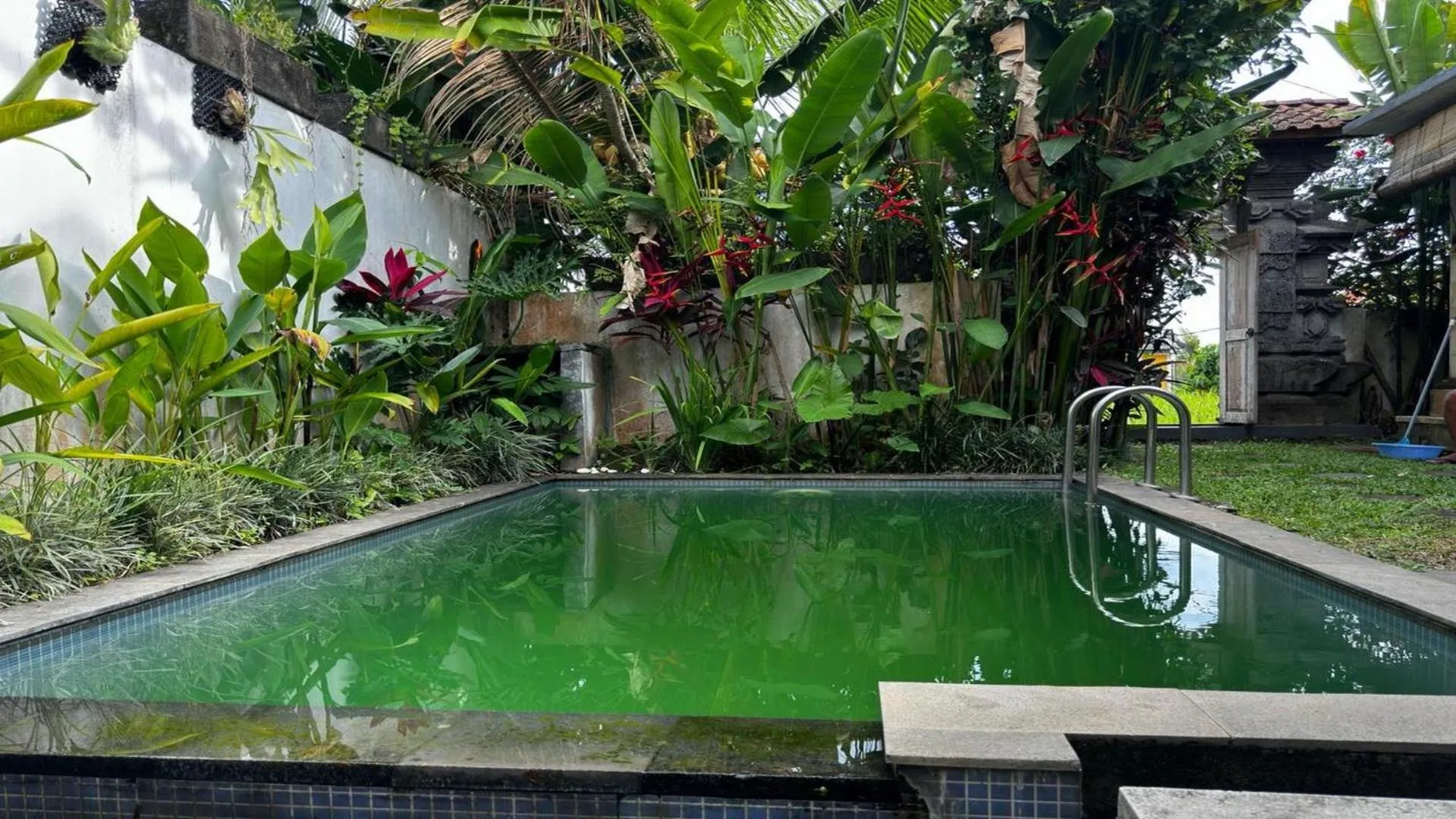 Swimming pool in Belvilla Nirvana Near Monkey Forest