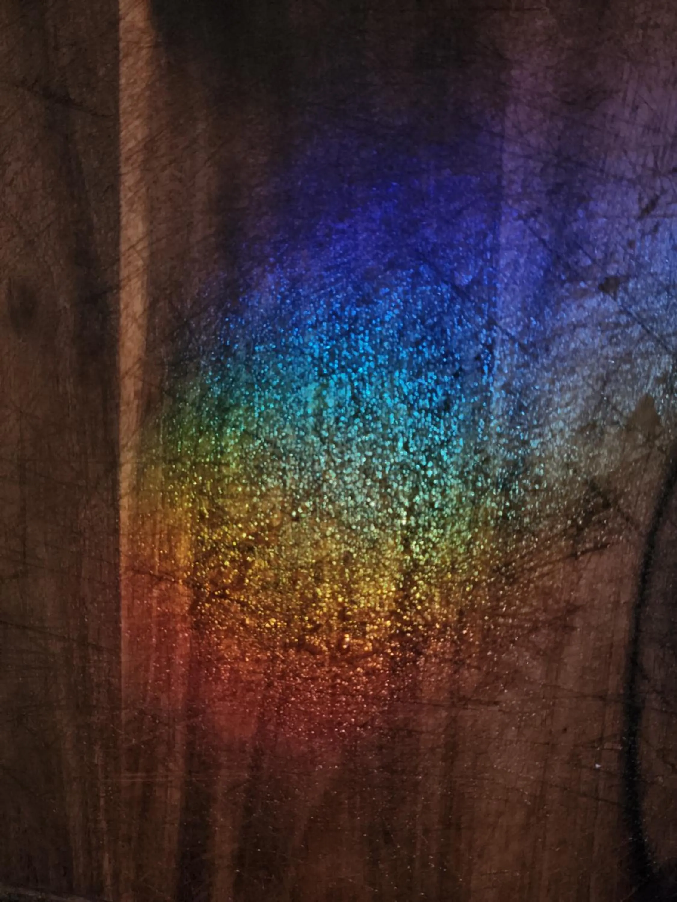 Activities in Calea Tulum Boutique Hotel