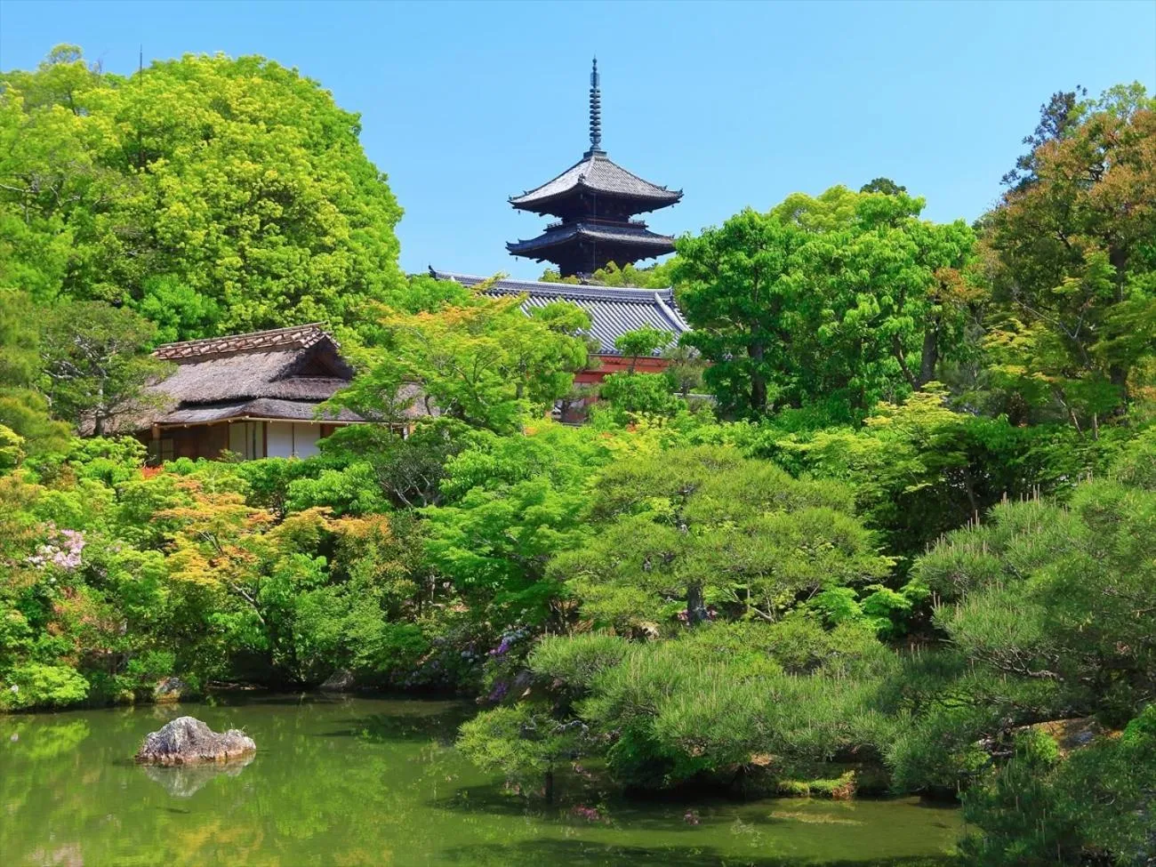 Nearby landmark in Giappo Franca Kyoto