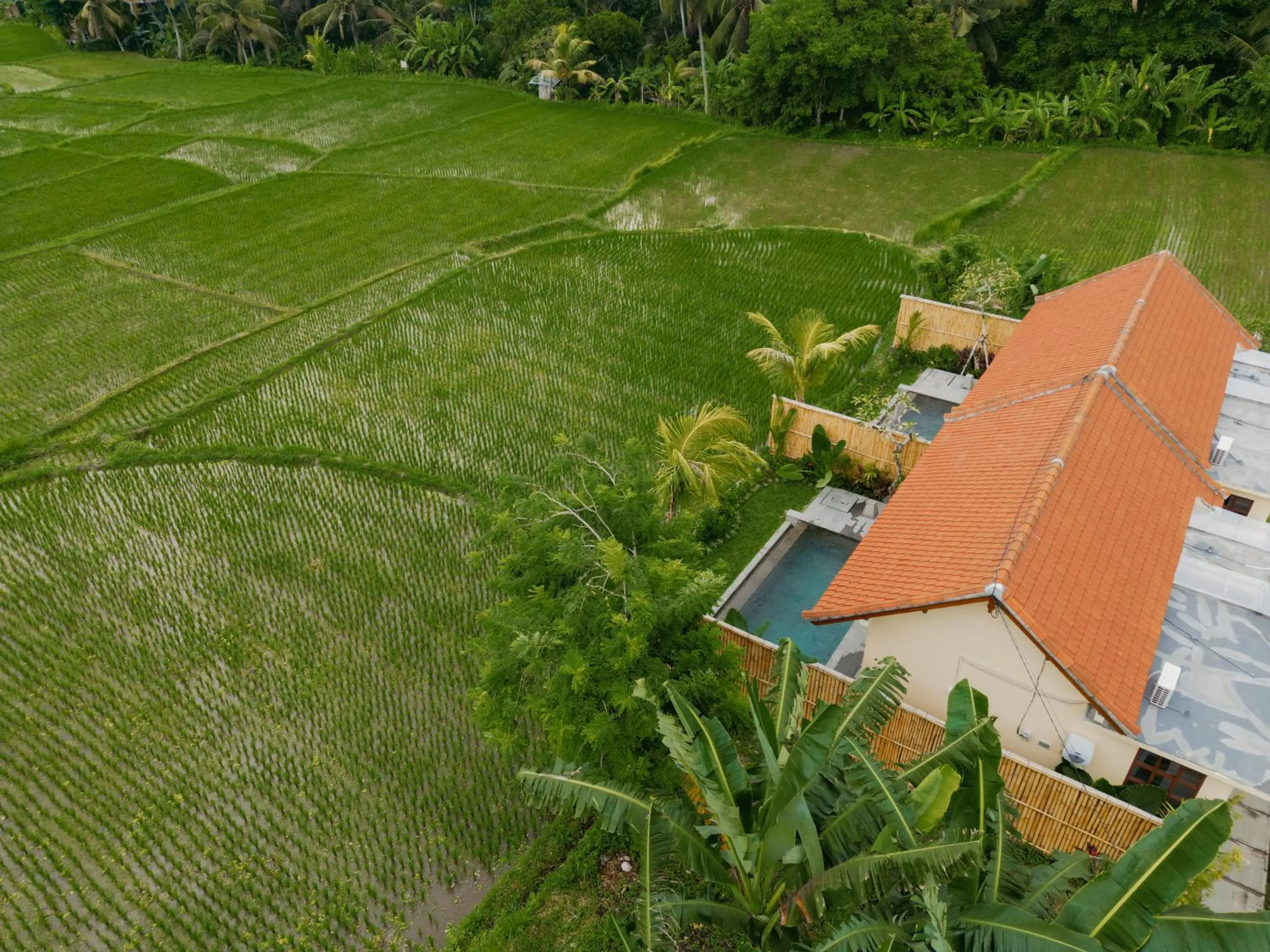 View (from property/room) in Uma Rimbun Villa by Dhananjaya Hospitality