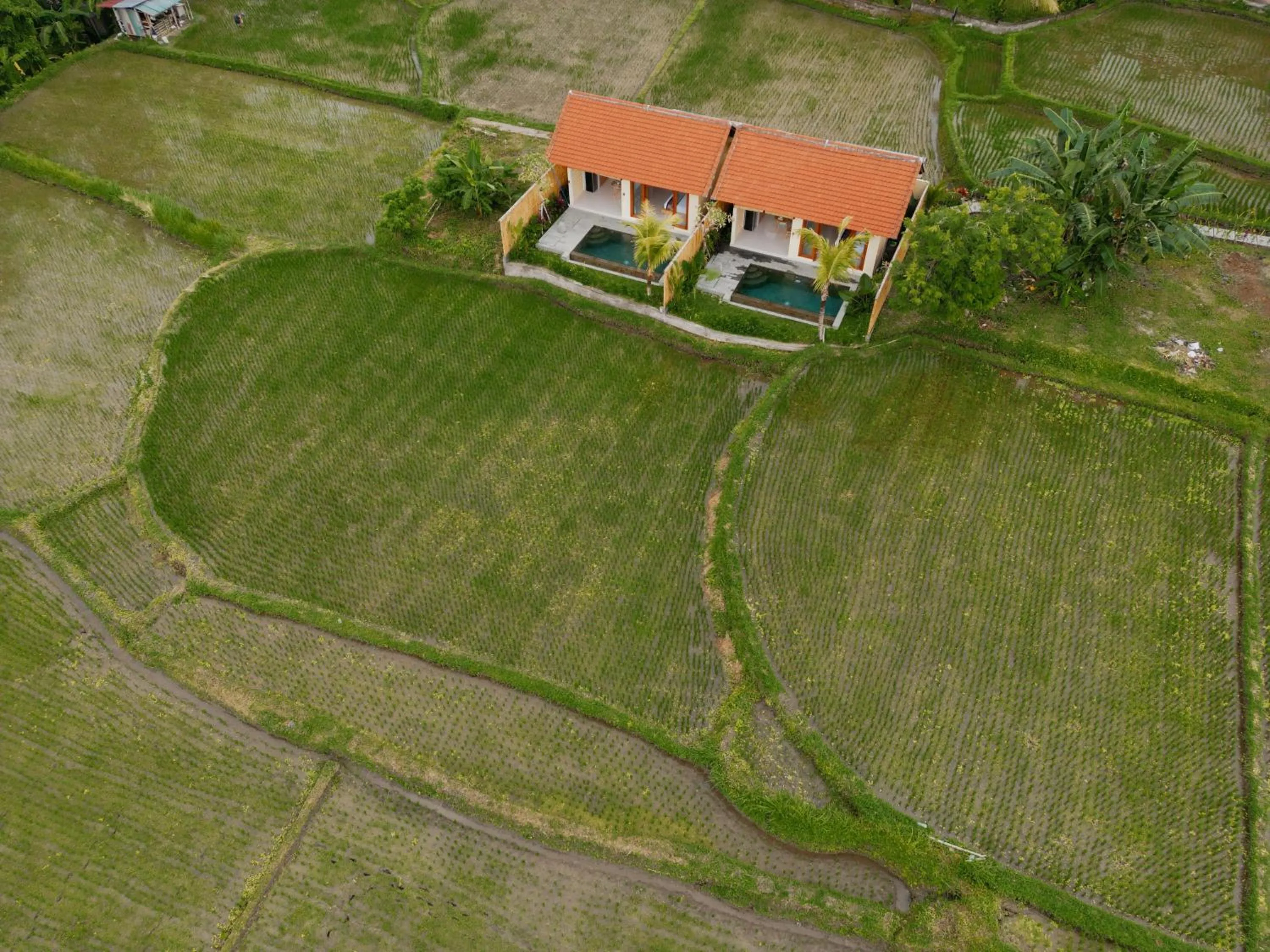 Property building in Uma Rimbun Villa by Dhananjaya Hospitality