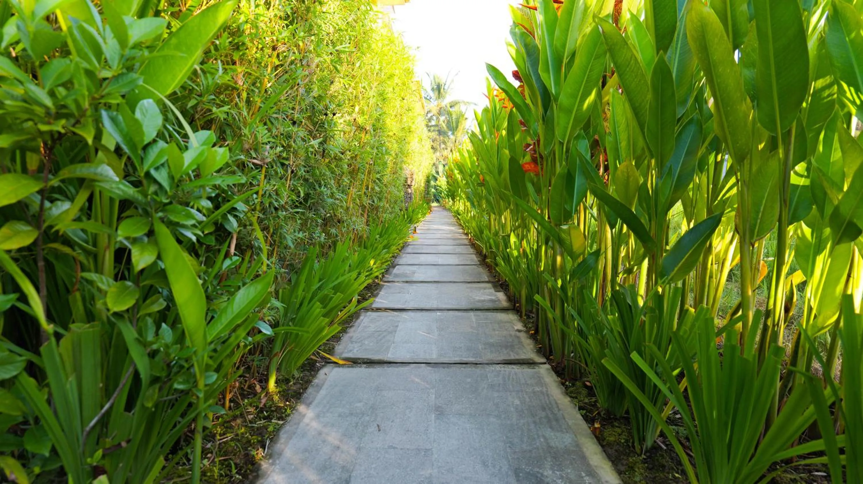 Spring in Uma Rimbun Villa by Dhananjaya Hospitality