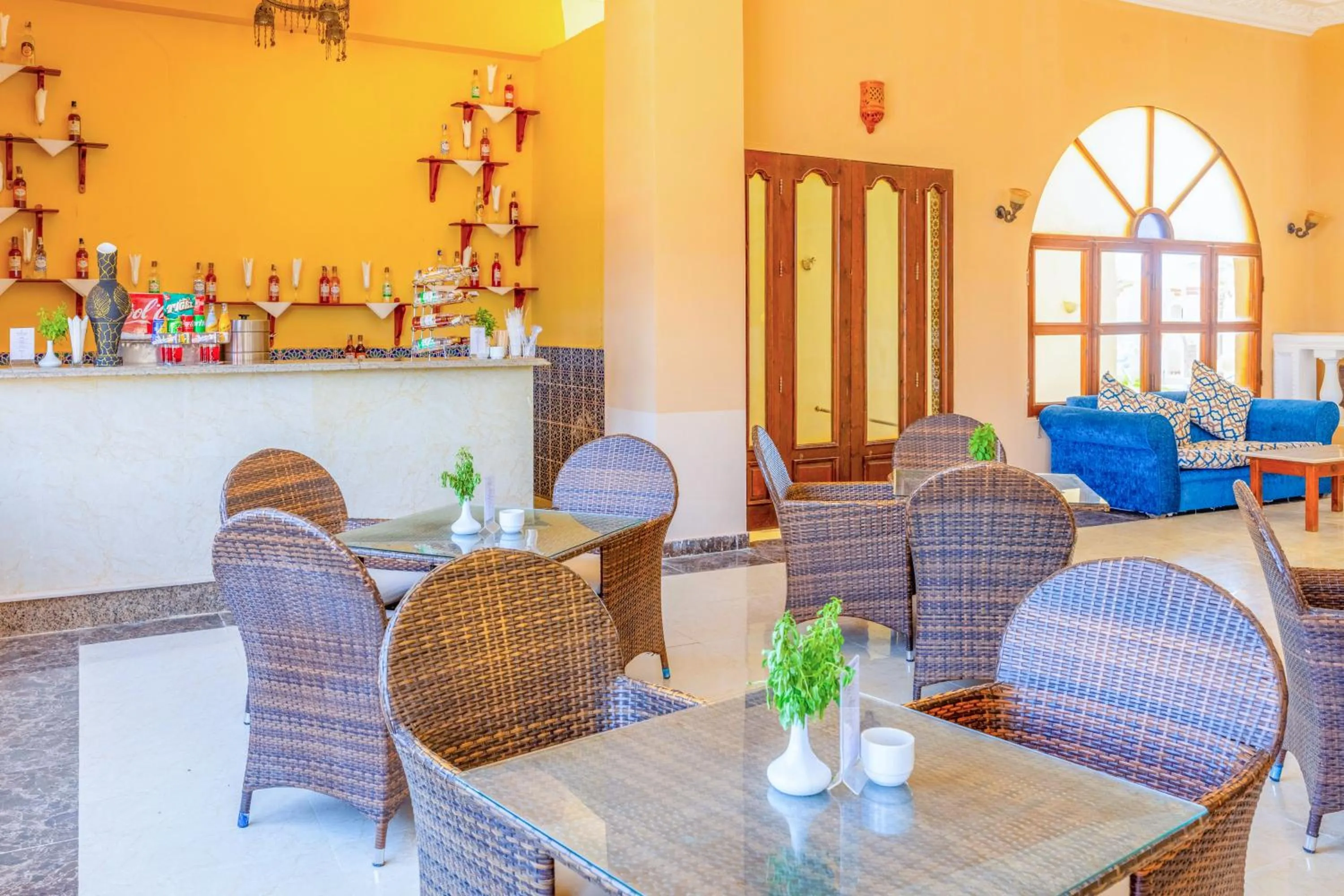 Restaurant/places to eat in Protels Beach Club & SPA