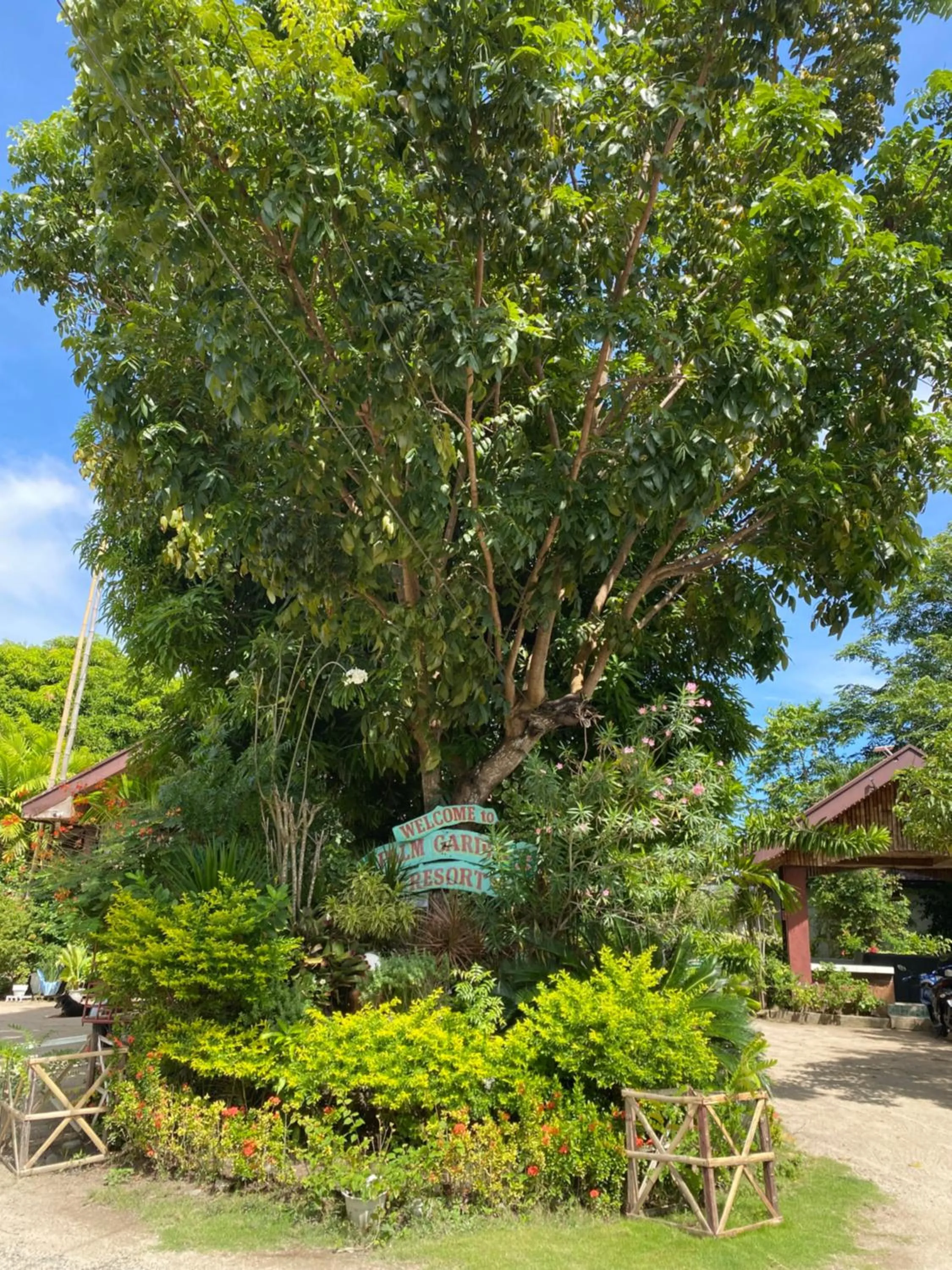 View (from property/room) in Palm Garden Resort