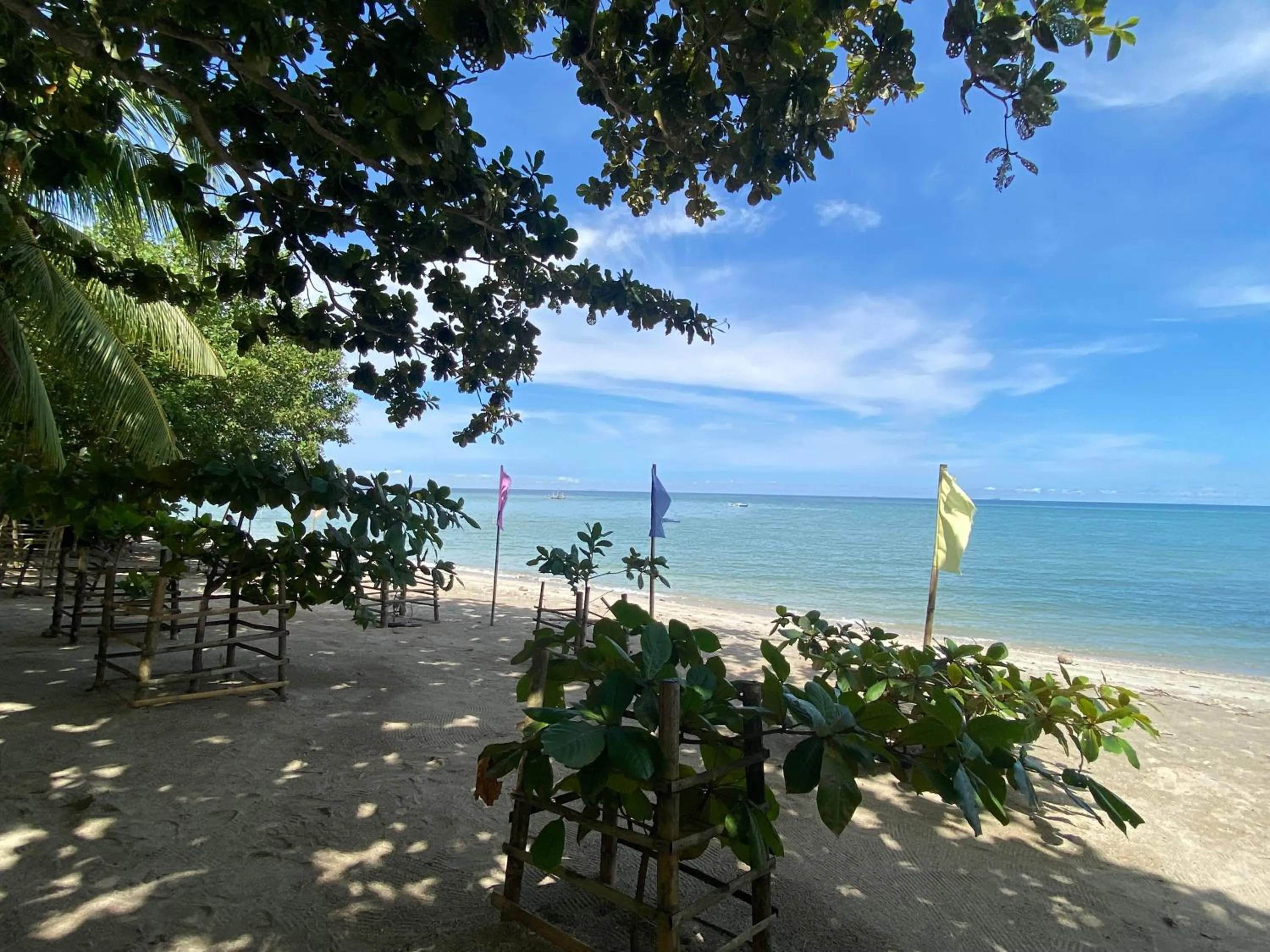 Beach in Palm Garden Resort