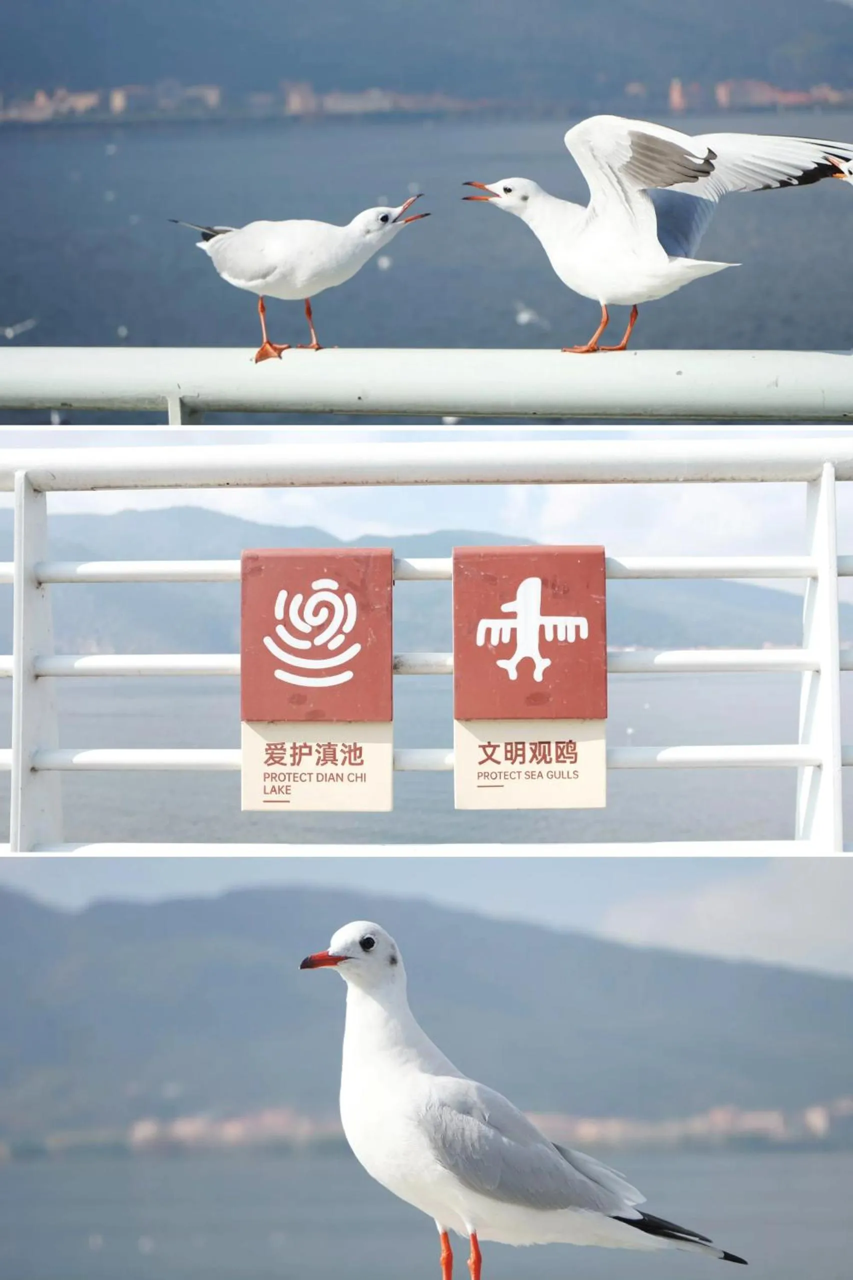 Natural landscape in Nostalgia S Hotel Kunming Old Street