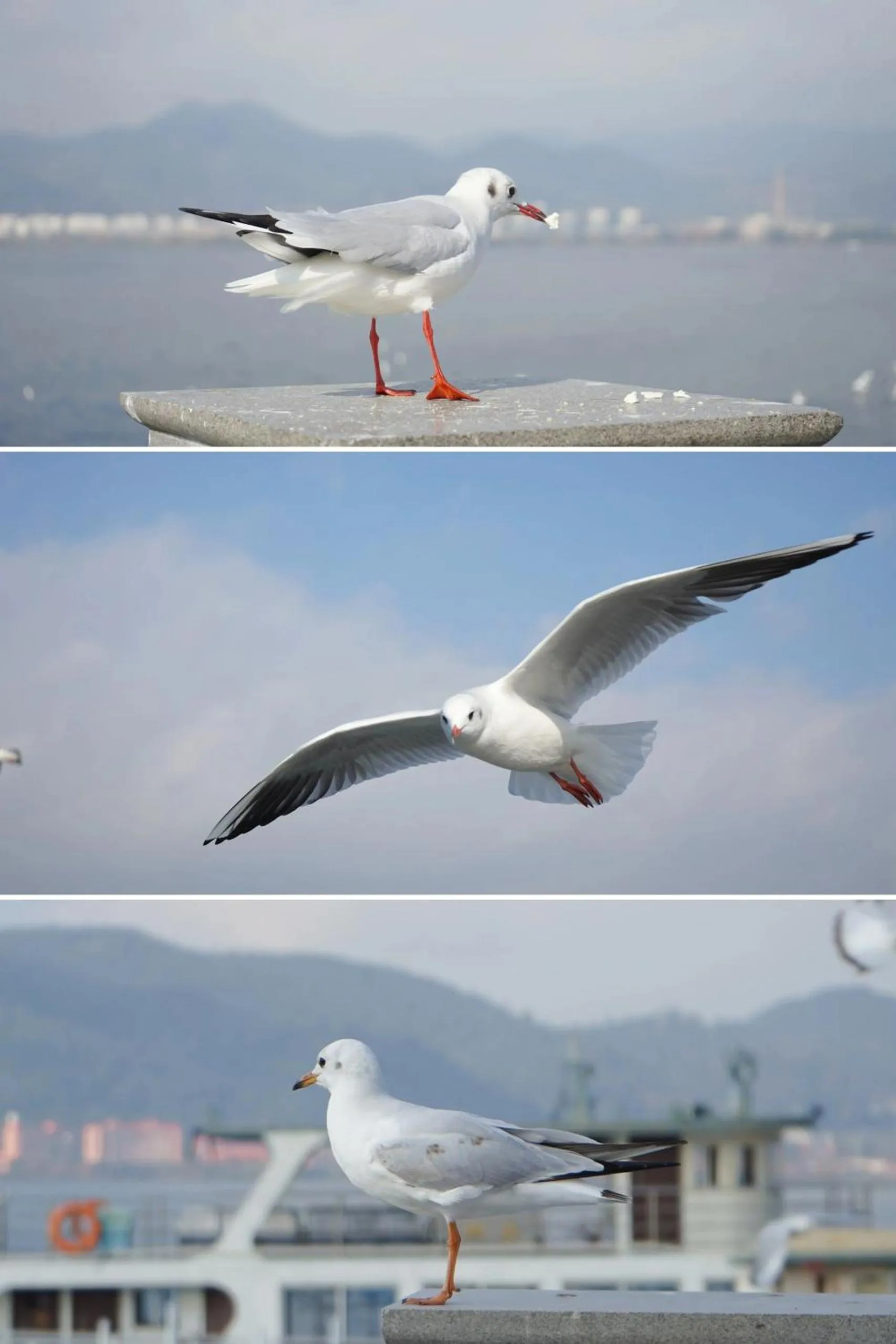Natural landscape in Nostalgia S Hotel Kunming Old Street