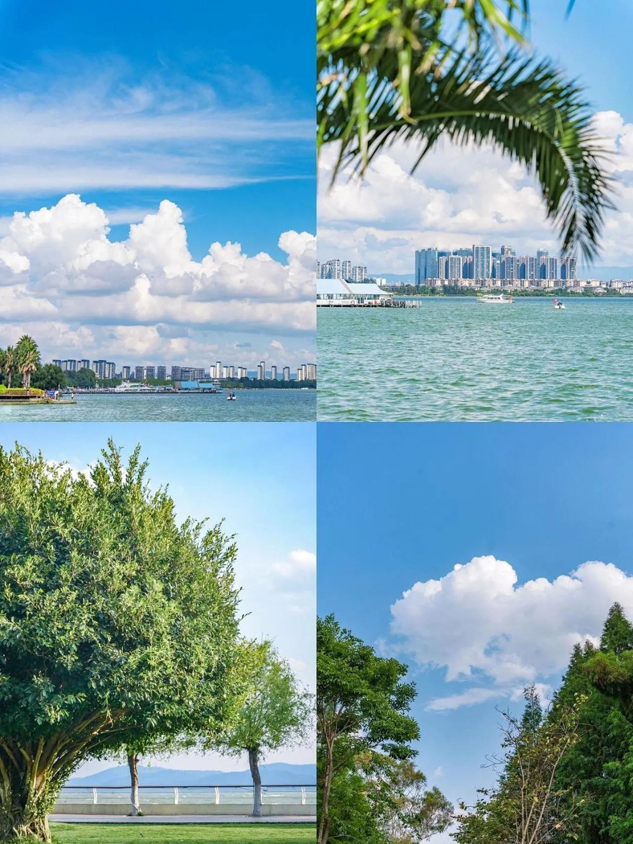 Natural landscape in Nostalgia S Hotel Kunming Old Street