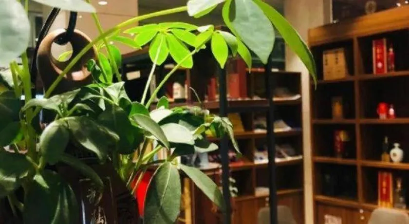 Greatwall Hotel - Zhengzhou