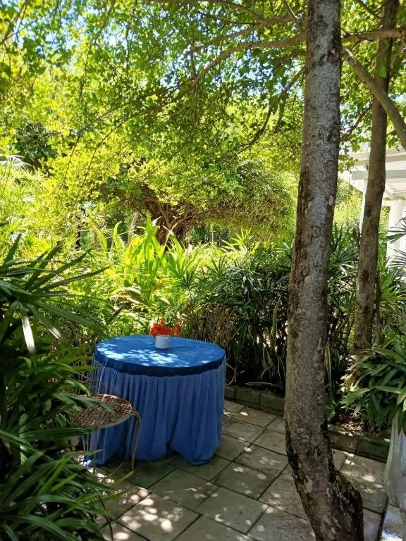 Brassiere Beach Hotel