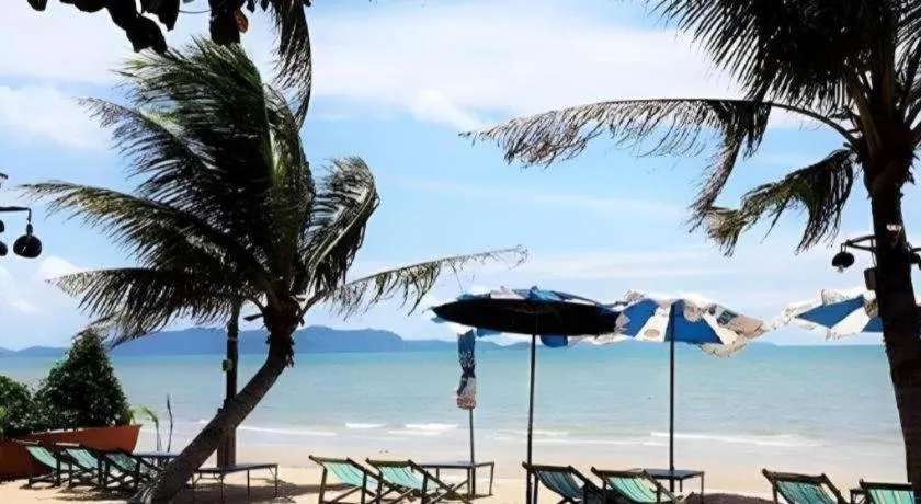 Sea Falcon on the Water