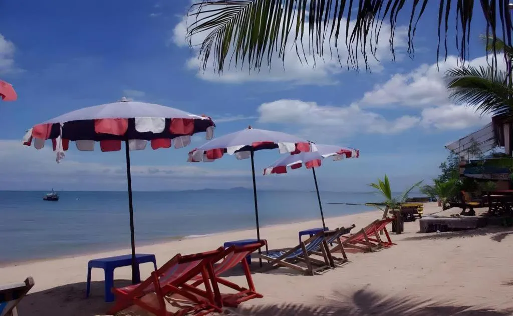 Sea Falcon on the Water