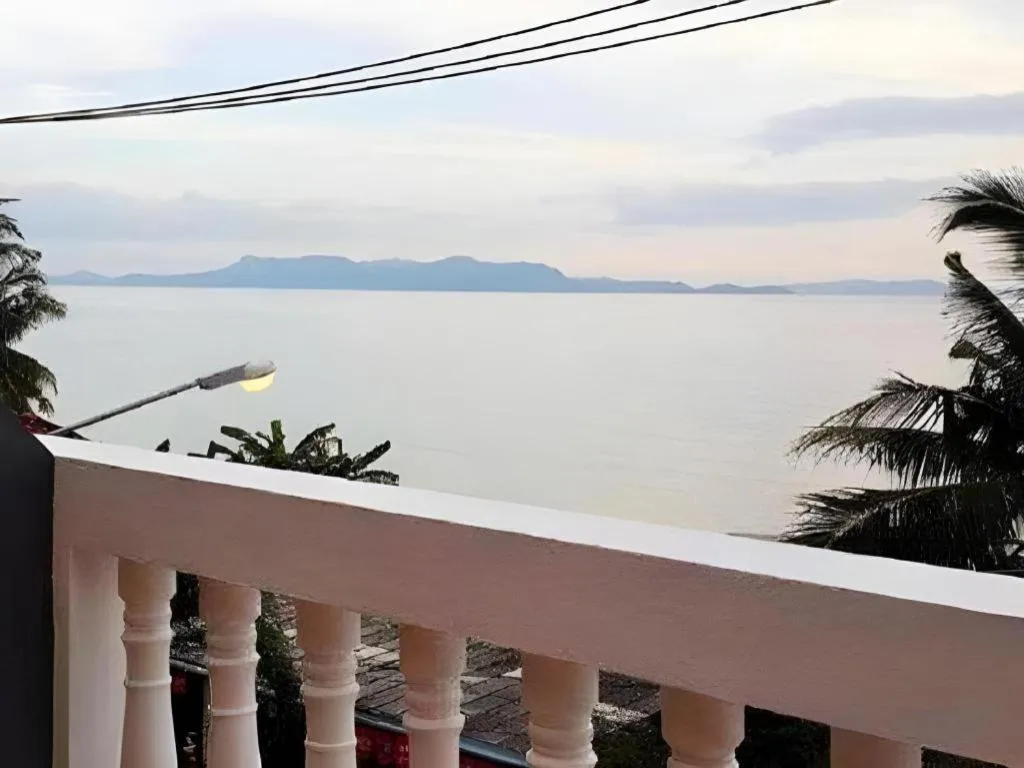 Sea Falcon on the Water