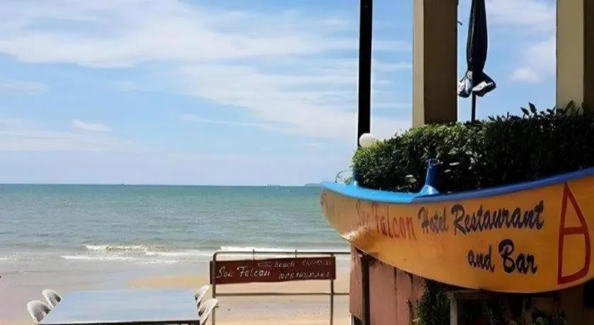 Sea Falcon on the Water