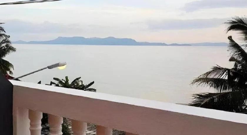 Sea Falcon on the Water