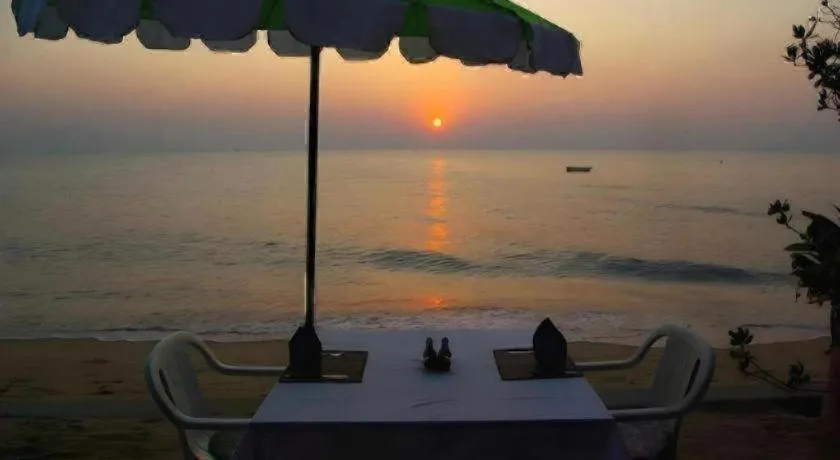 Sea Falcon on the Water