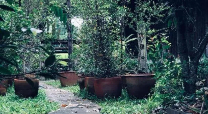 Khun Nai Tern Sai Hotel