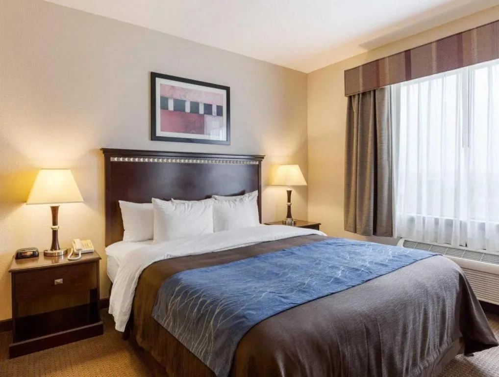 Bed in Comfort Inn & Suites Winnie