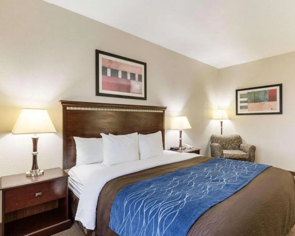 Bed in Comfort Inn & Suites Winnie