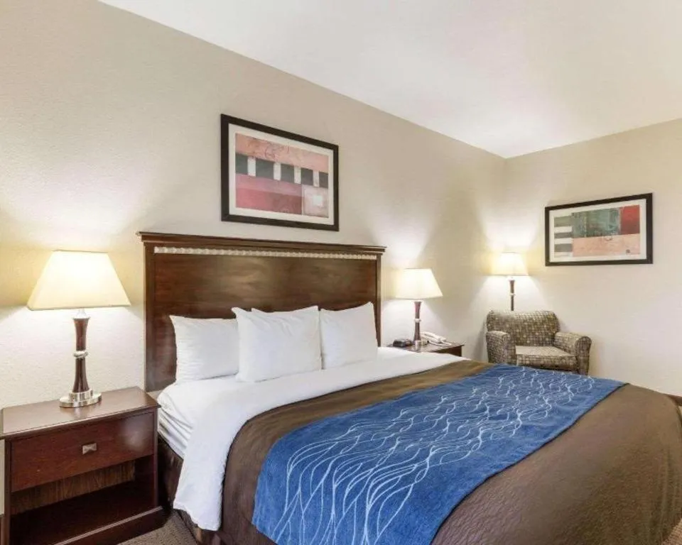 Bed in Comfort Inn & Suites Winnie