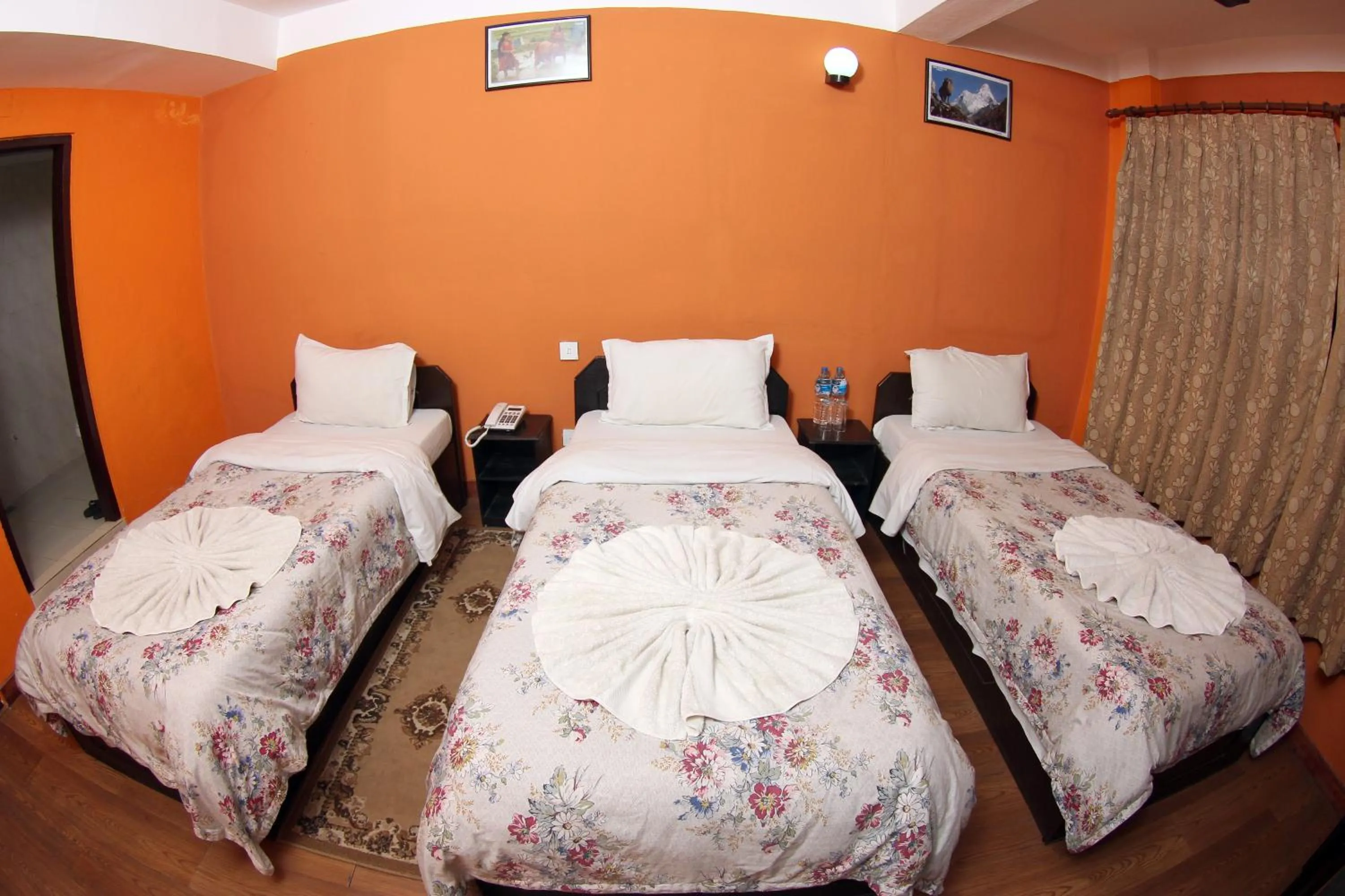 Photo of the whole room, Bed in Bag Packer's Lodge