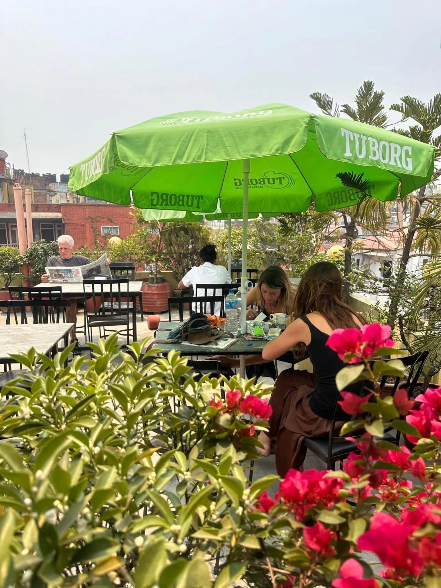 Garden in Bag Packer's Lodge