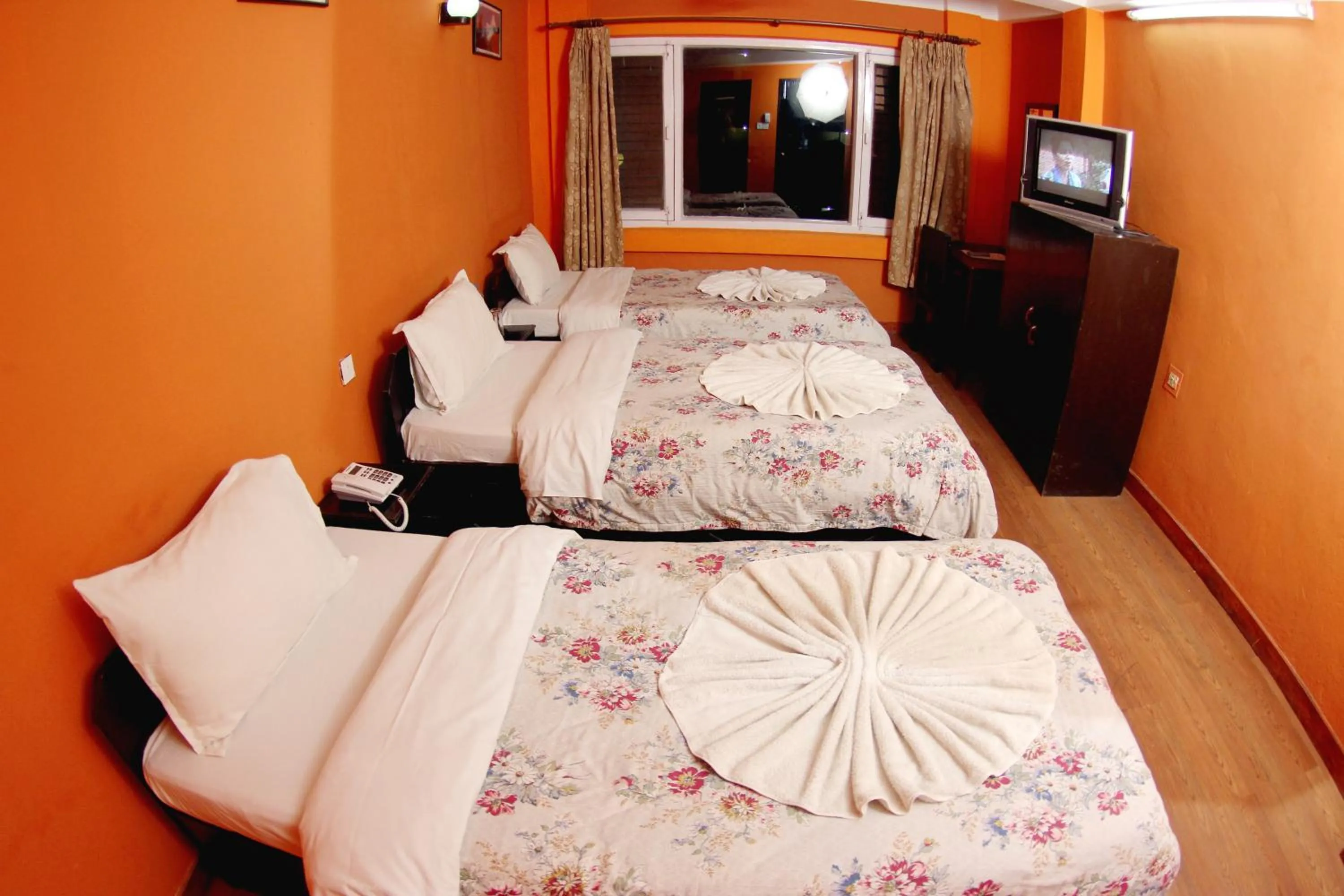 Photo of the whole room, Bed in Bag Packer's Lodge