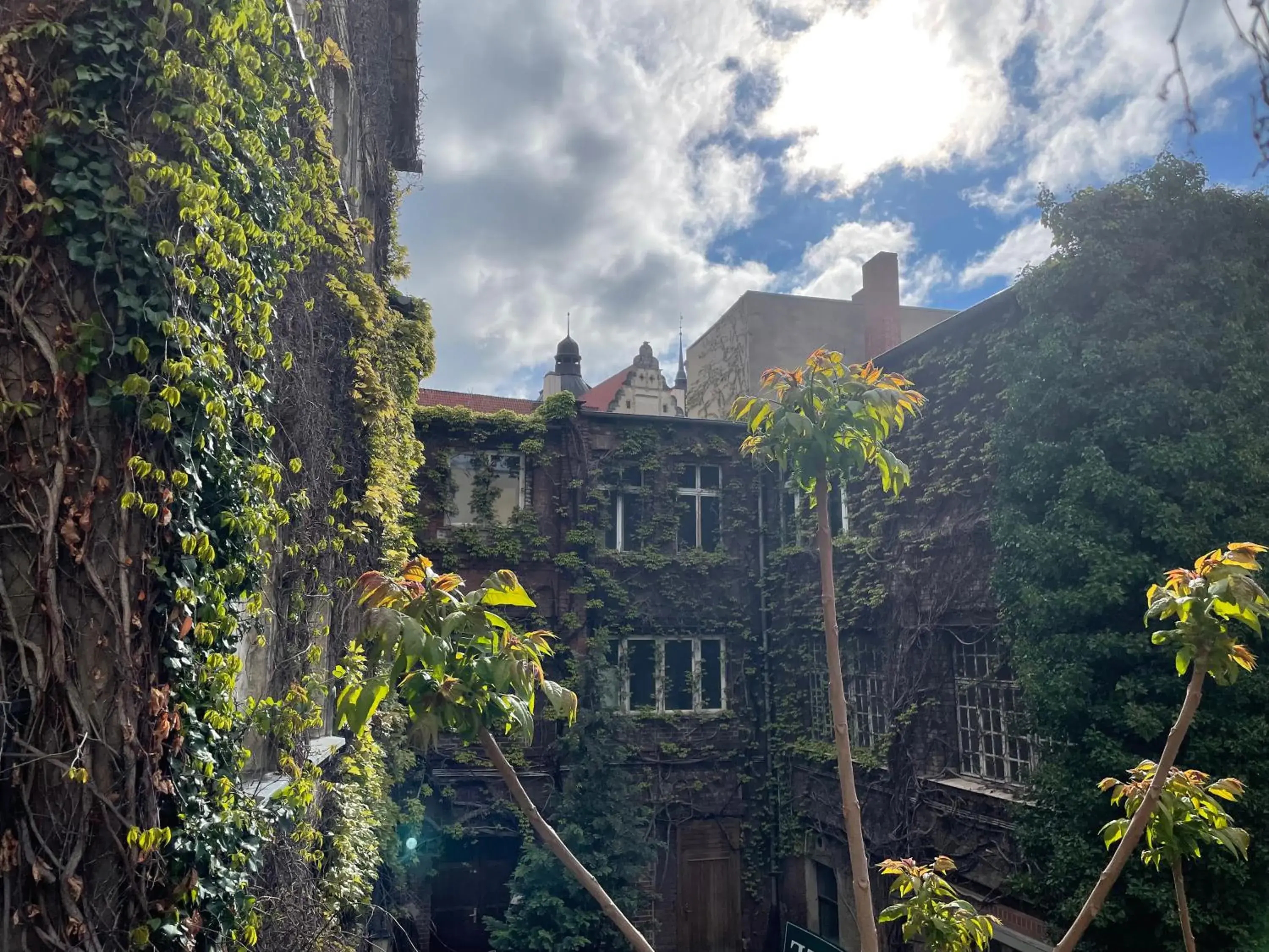 Bed in 4-Bed Mixed Dormitory Room in AM RATSHOF Bed in 4-Bed Mixed Dormitory Room in AM RATSHOF