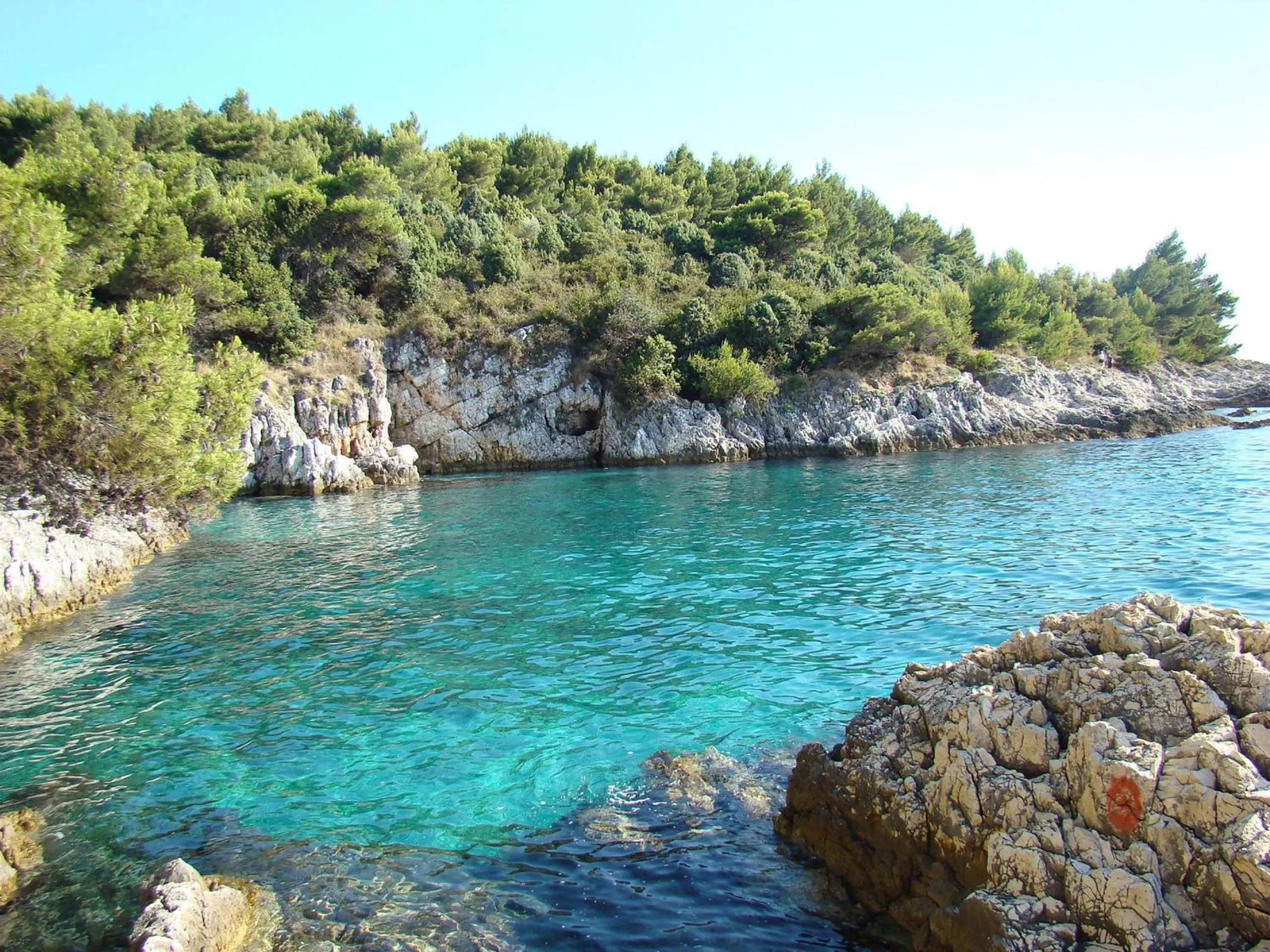 Natural landscape in Apartments Regi Medulin
