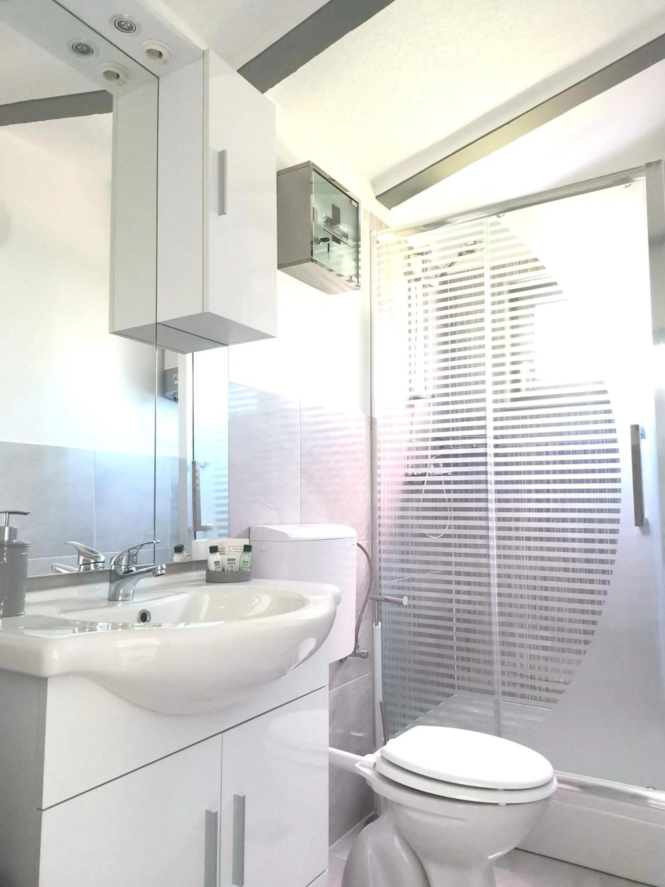 Bathroom in Apartments Regi Medulin