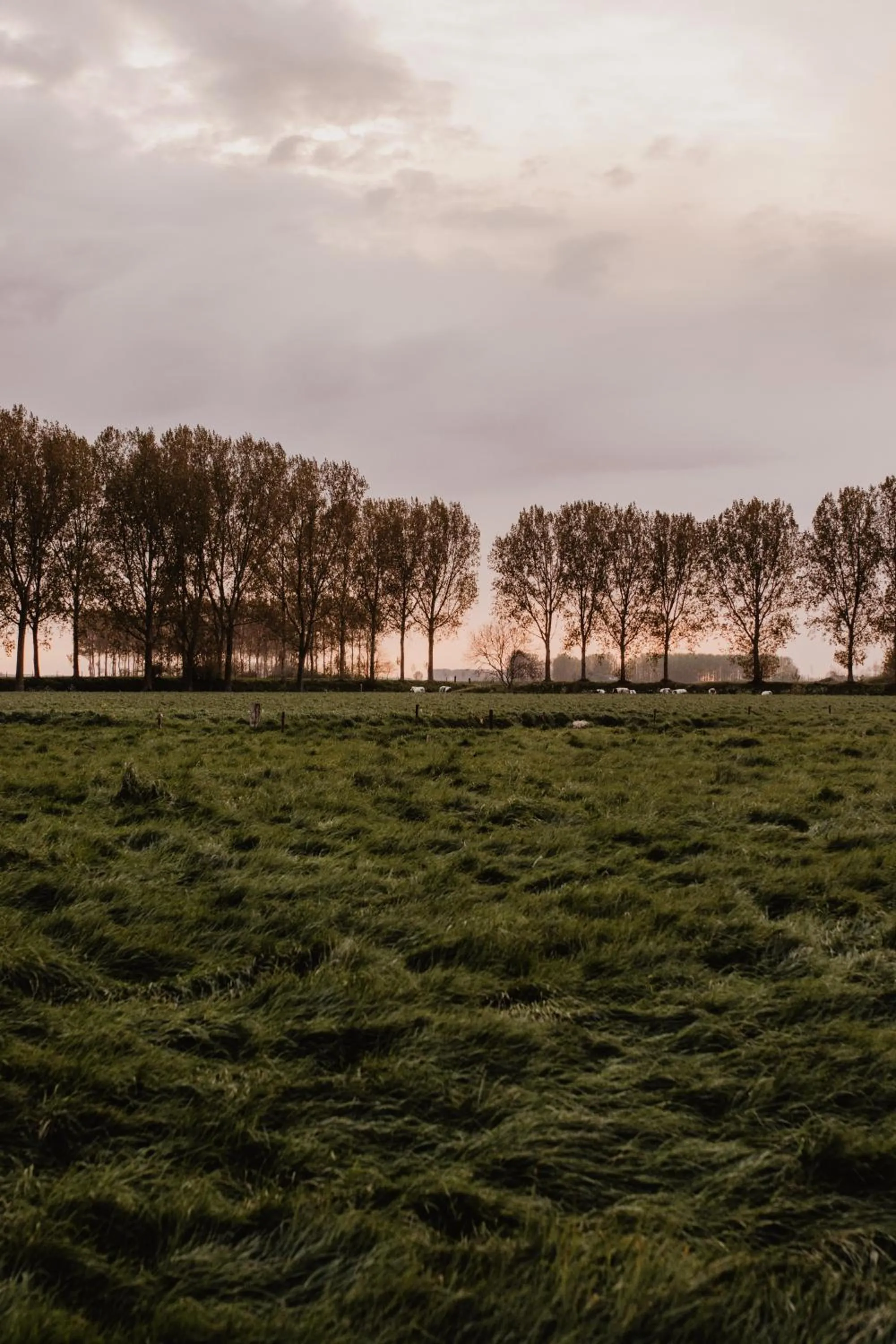 Neighbourhood in Stil 1827