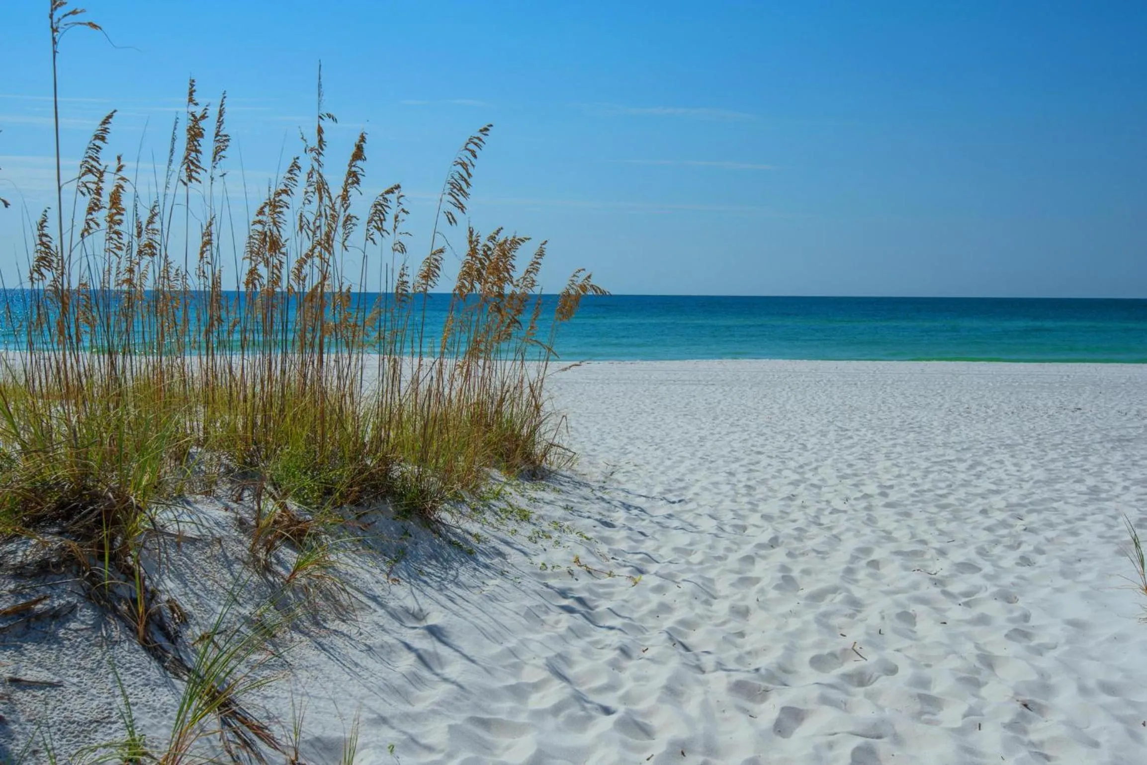 A Peace of Paradise
