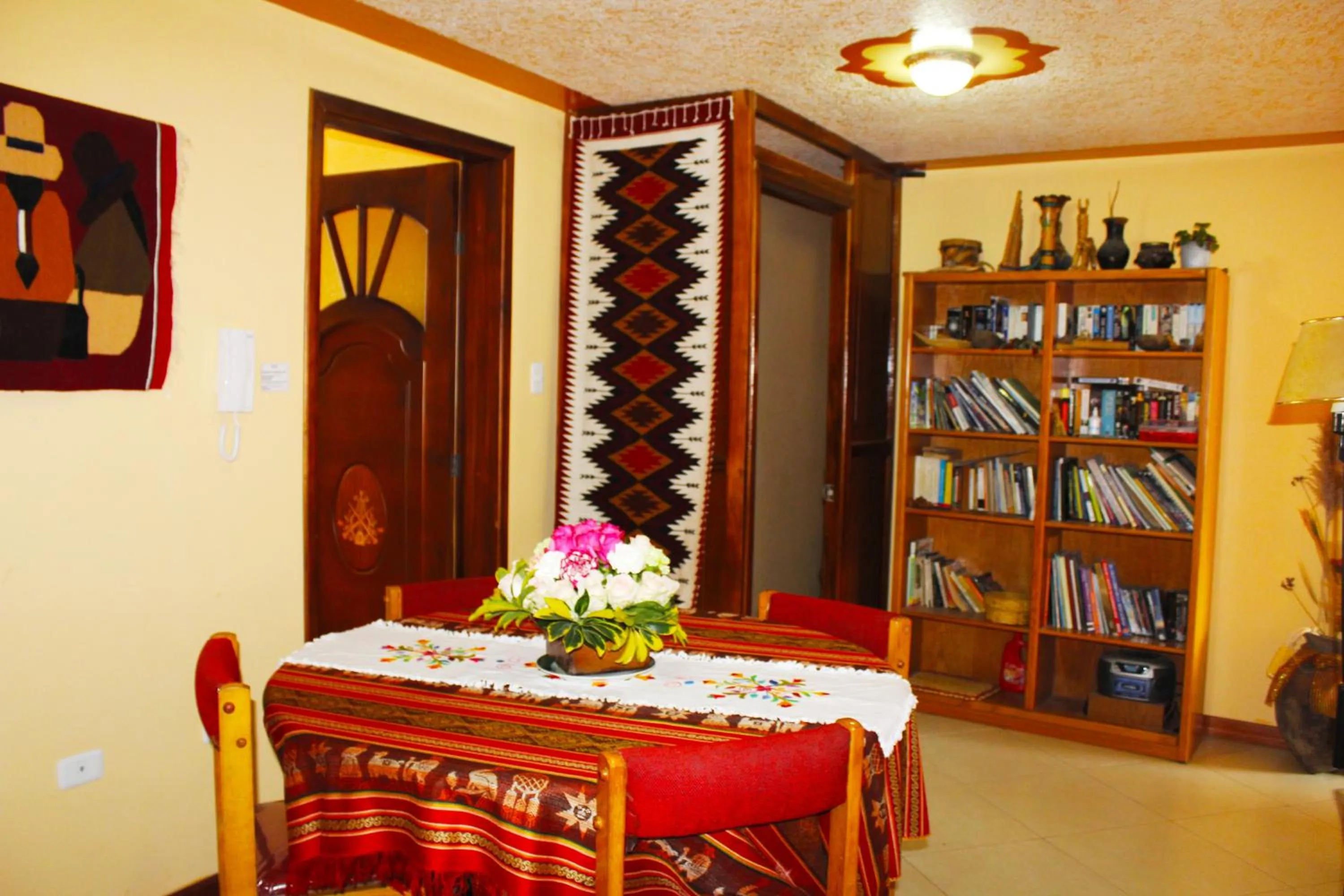 Library in Casa de Luis