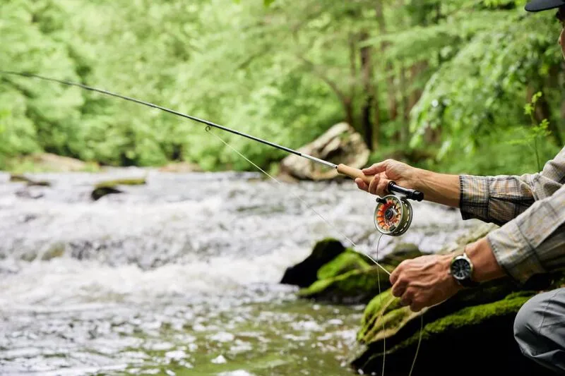 The Lodge at Primland, Auberge Collection