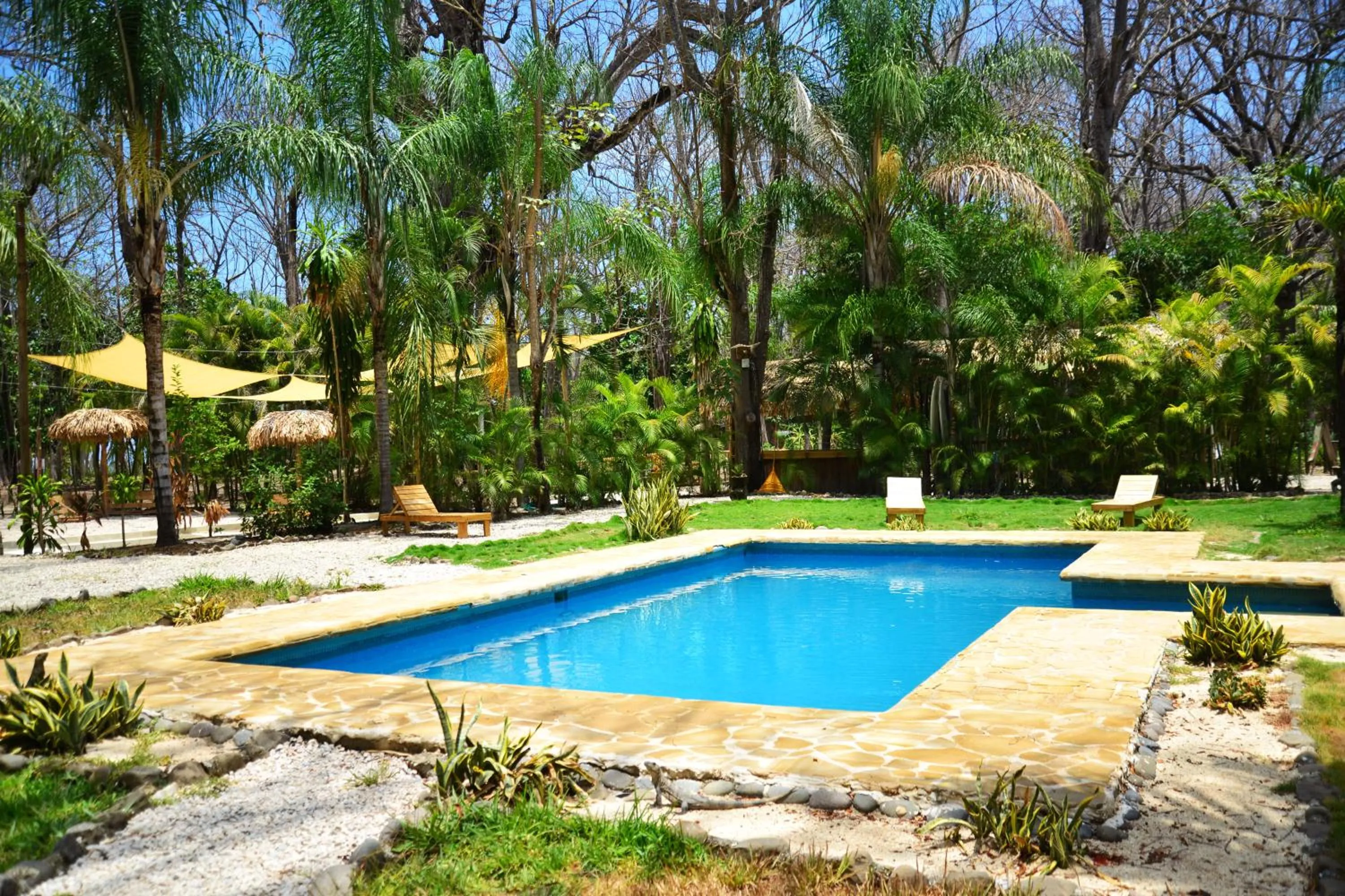 Garden in Pacifica Surf Studios