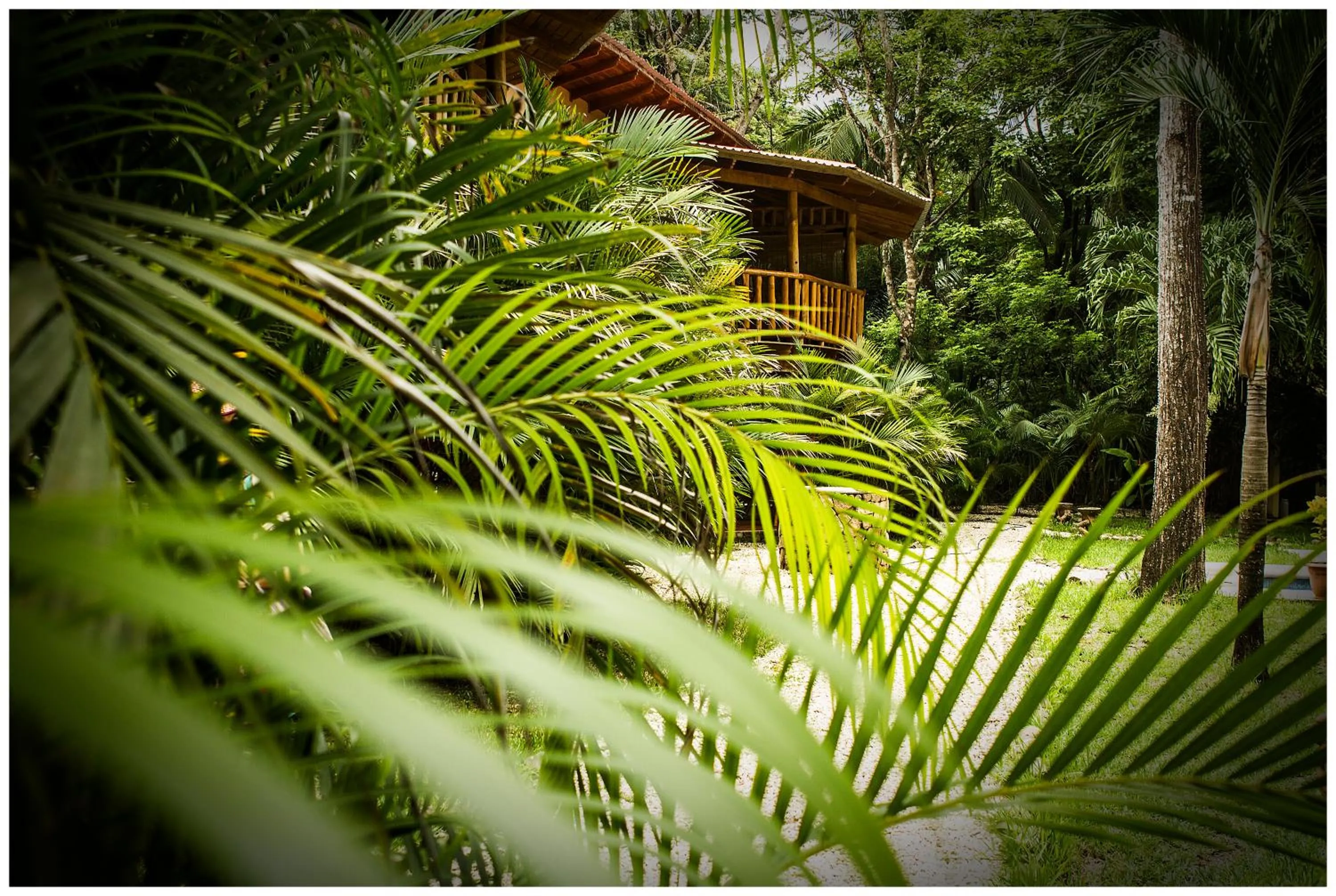Garden in Pacifica Surf Studios