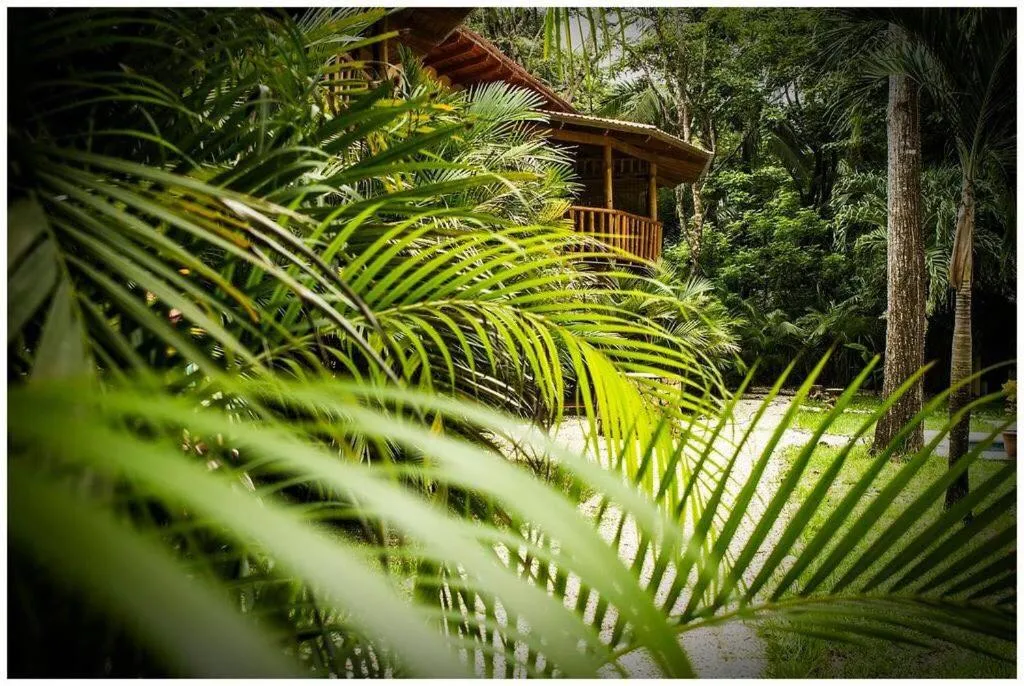 Garden in Pacifica Surf Studios