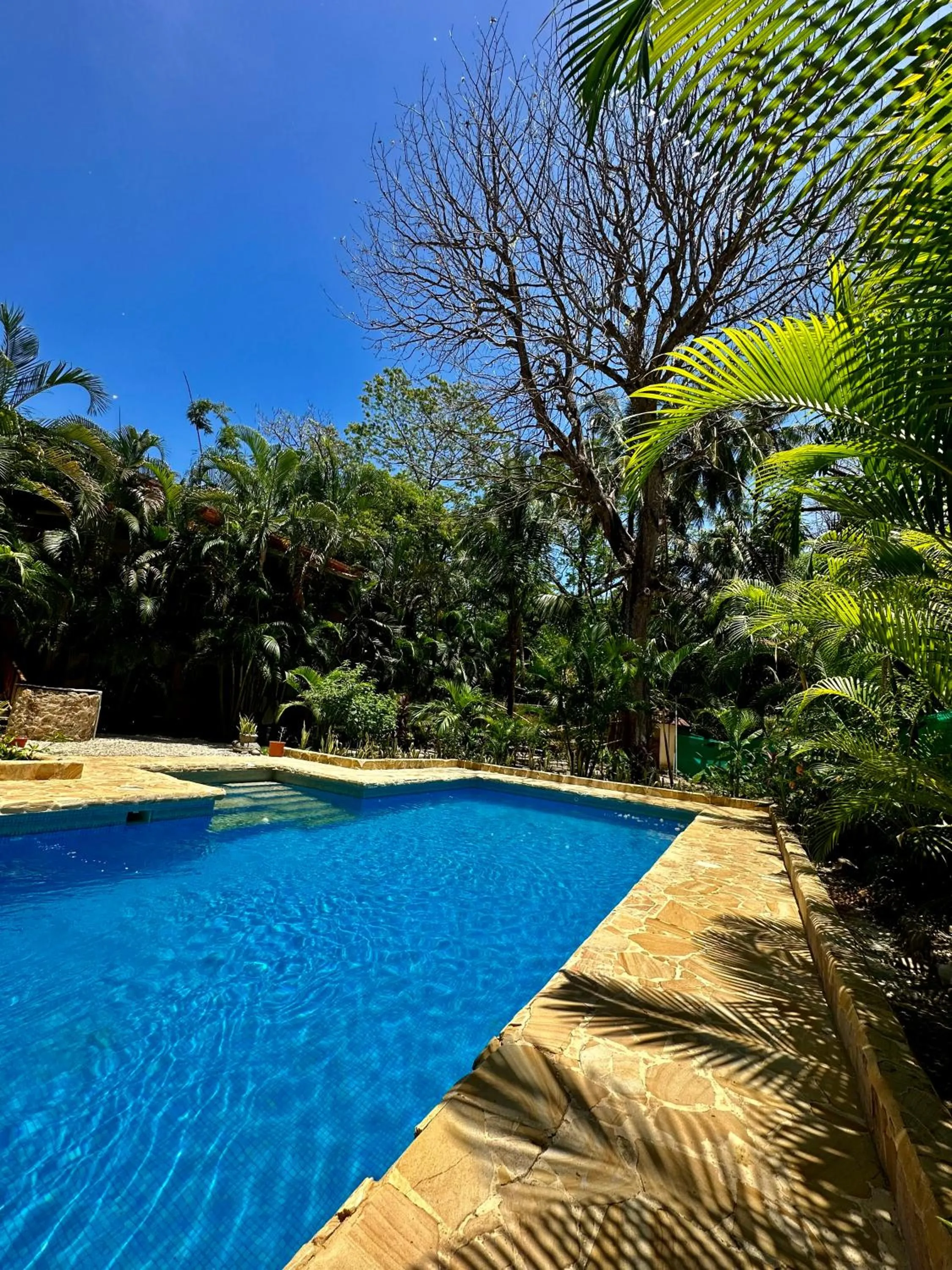 Pacifica Surf Studios