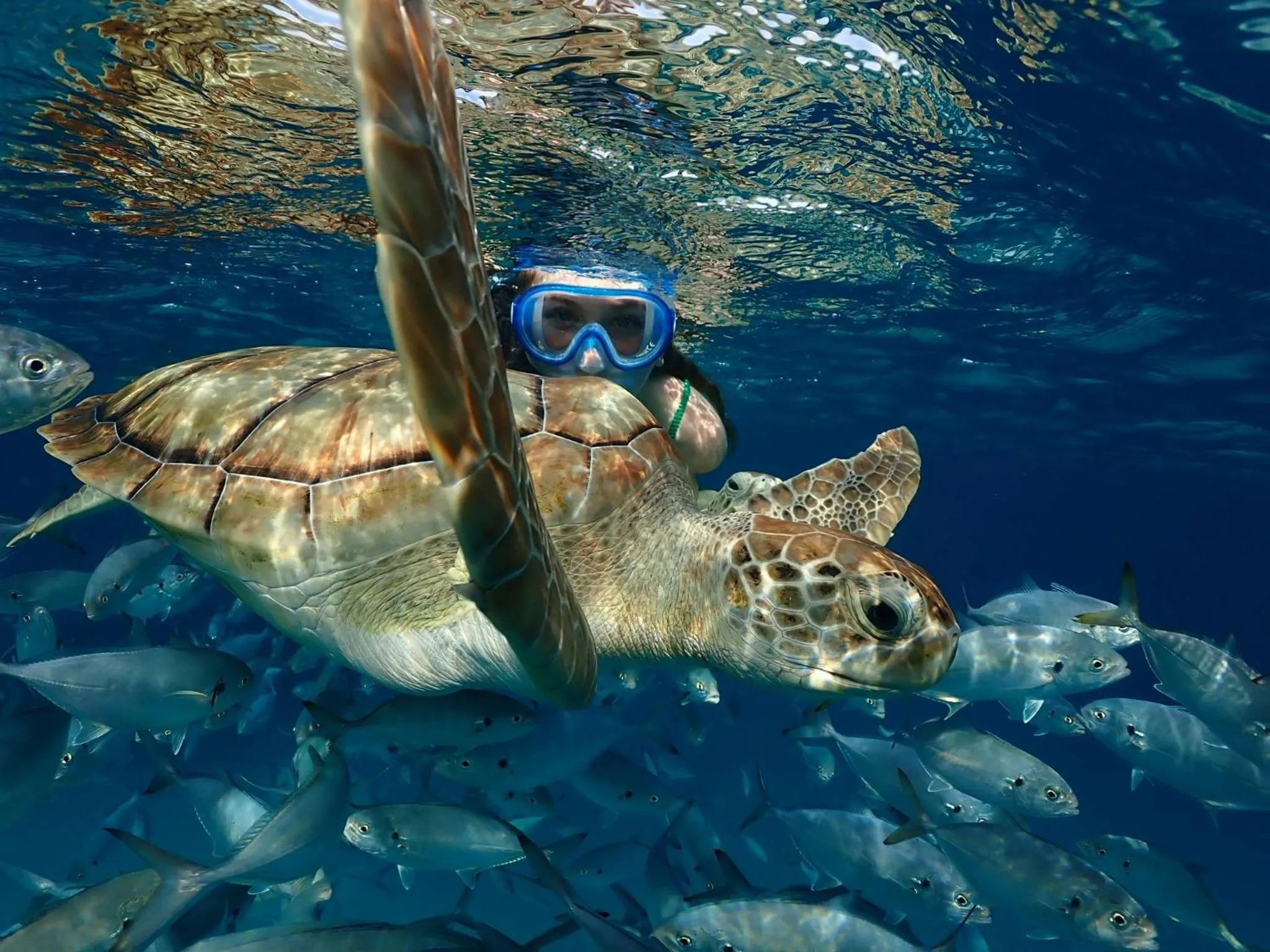 People in South Point Hotel Inc