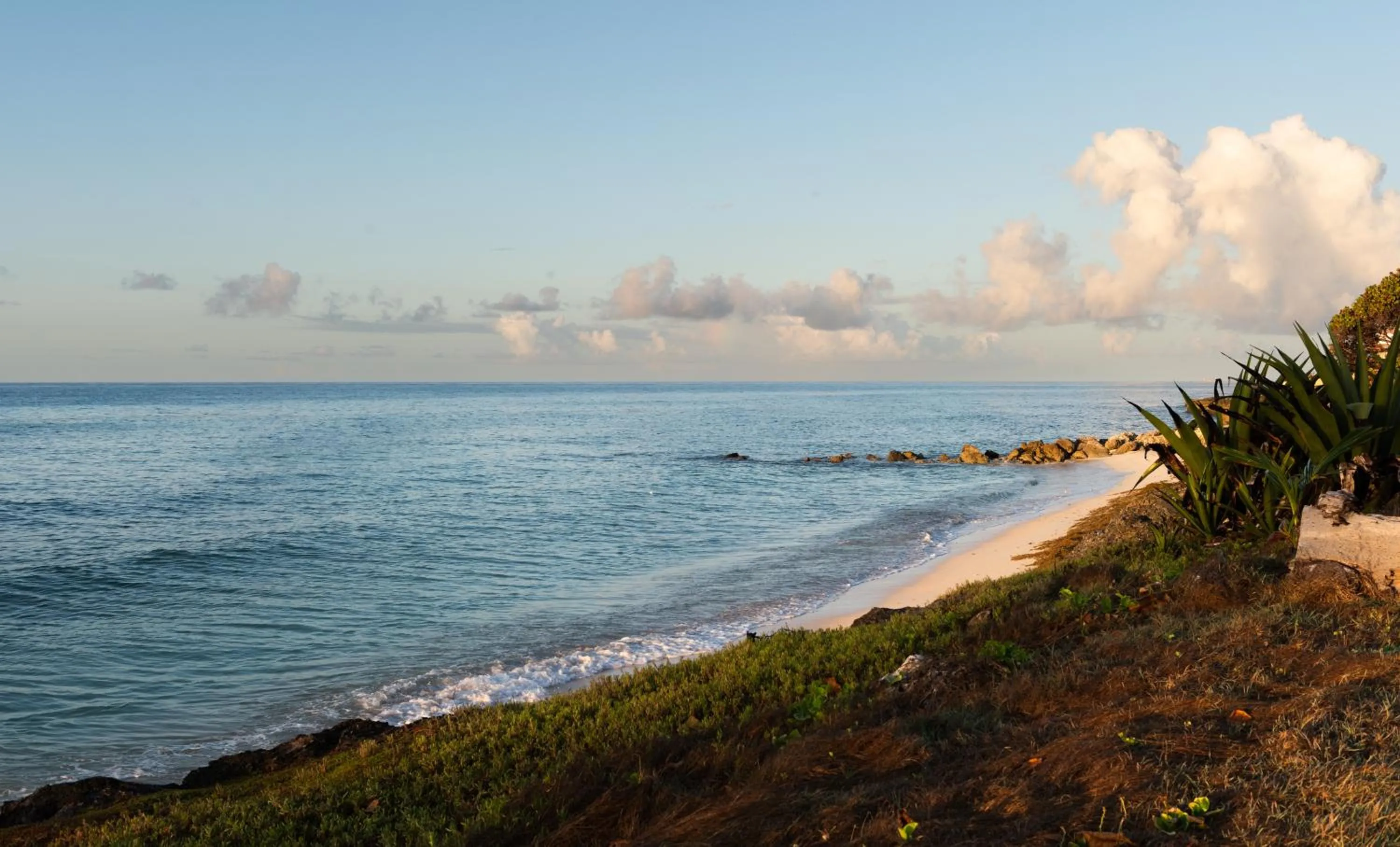 Day in South Point Hotel Inc