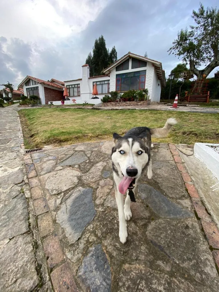 Hotel Cabañas San Cayetano
