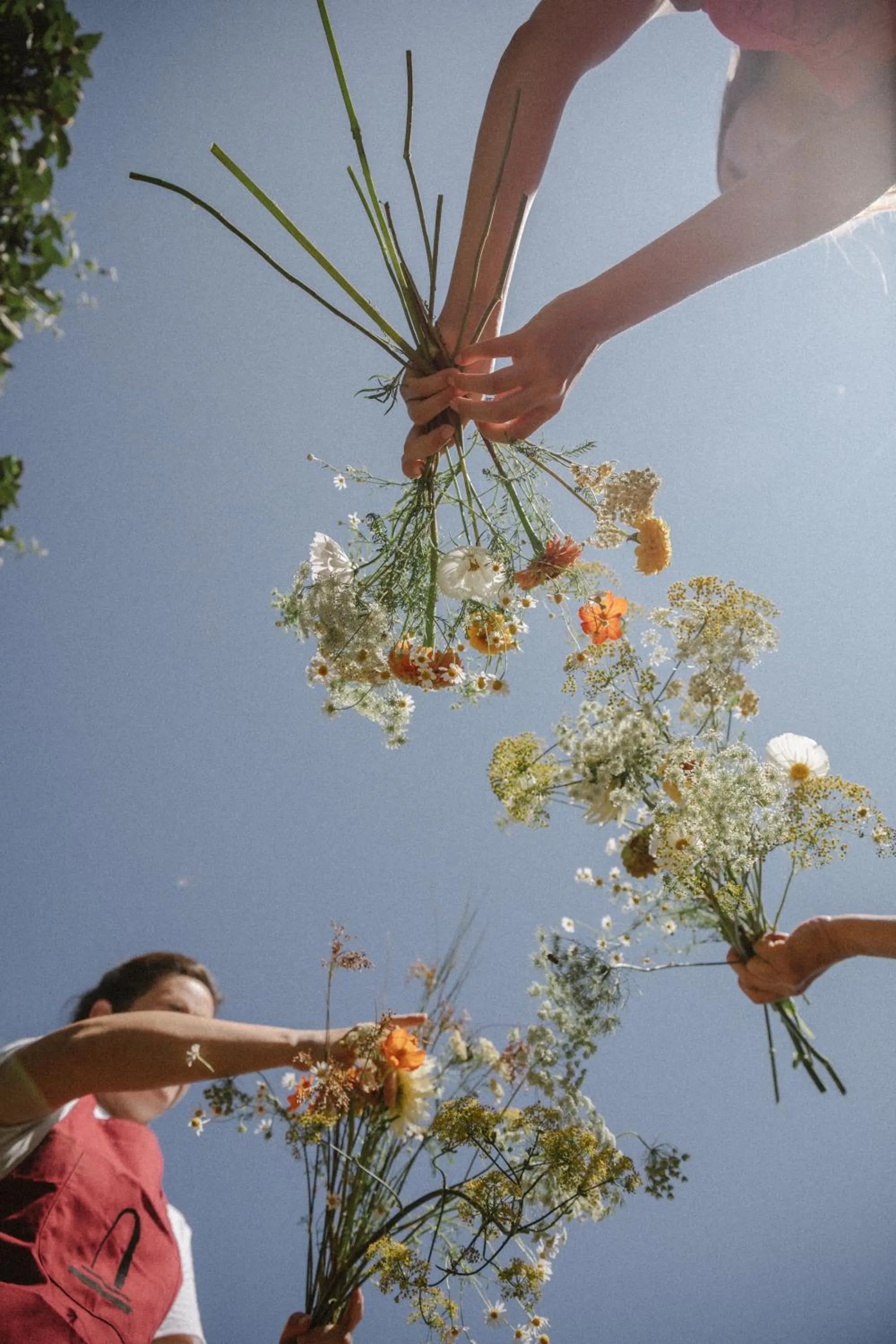 Activities in Monteverdi Tuscany