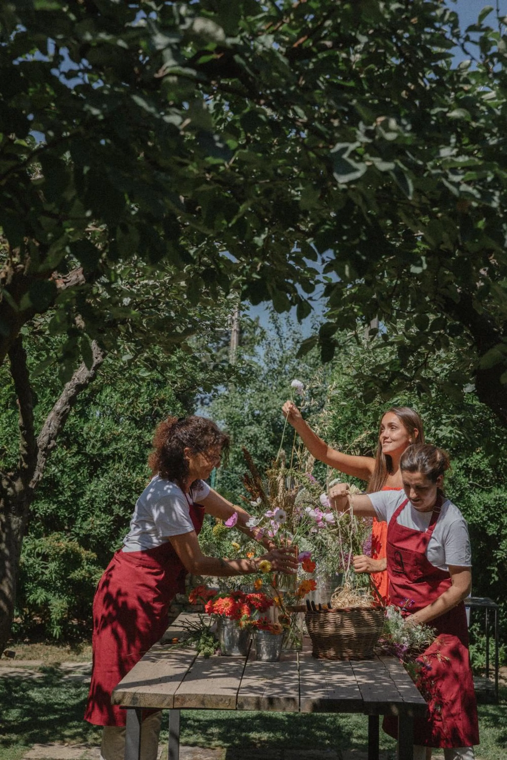 Activities in Monteverdi Tuscany