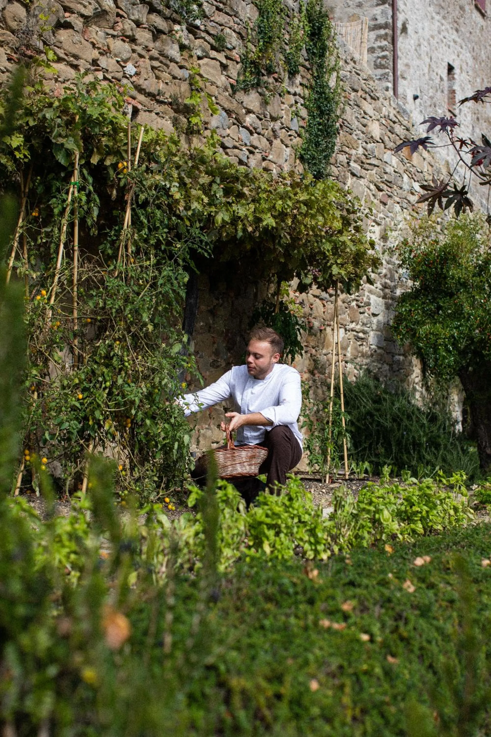 Garden in Monteverdi Tuscany