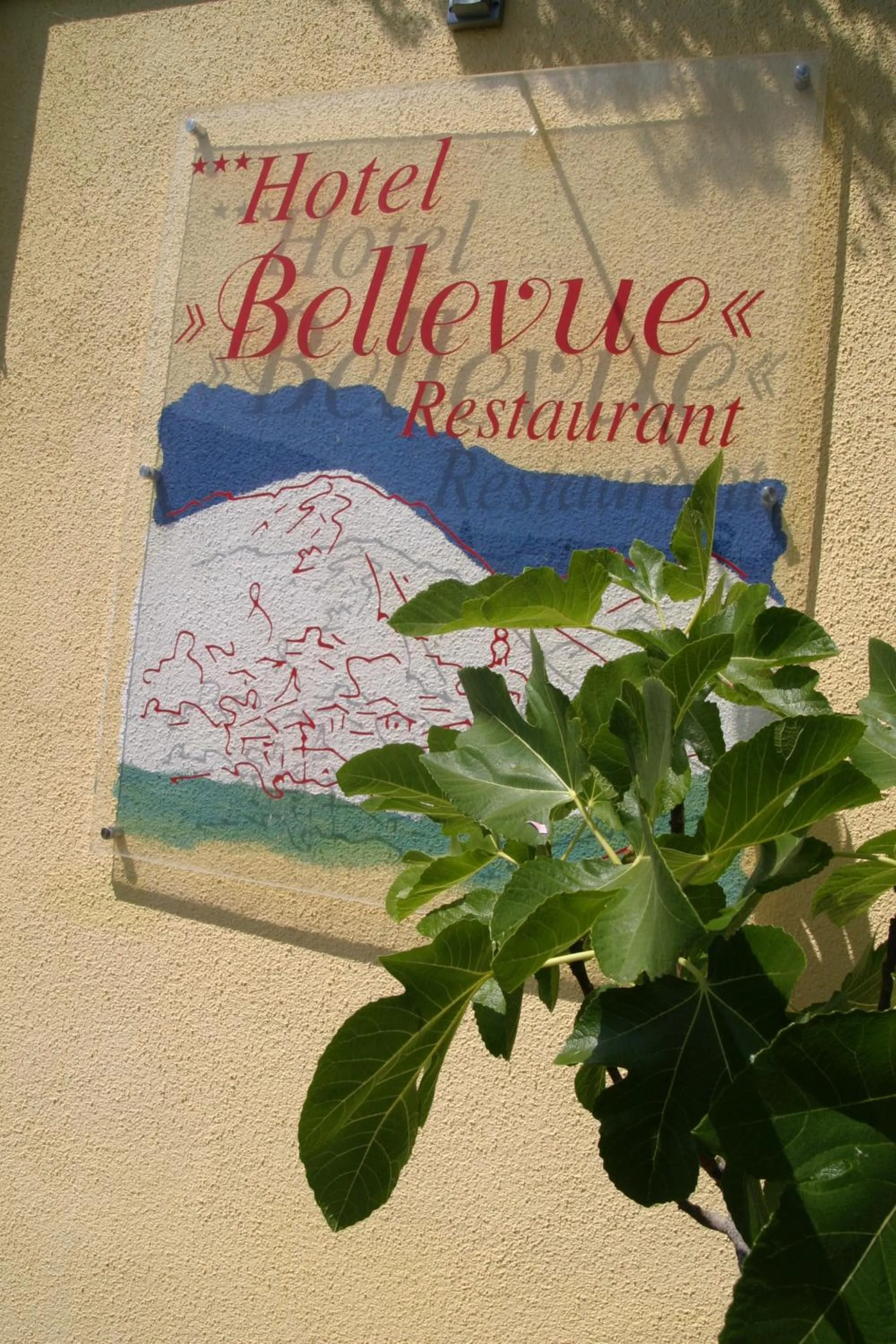 Property building in Hotel-Restaurant Bellevue